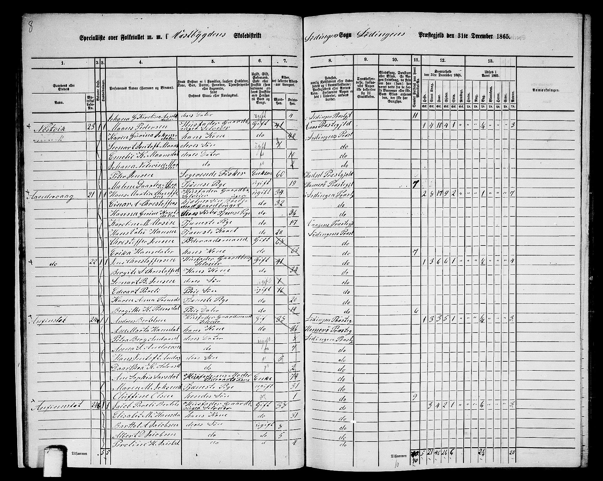 RA, 1865 census for Lødingen, 1865, p. 21