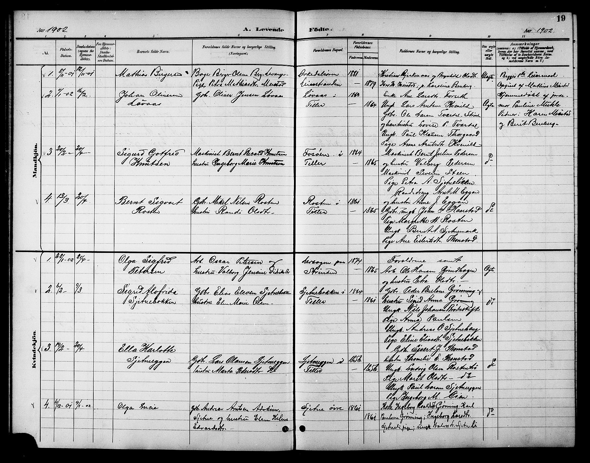 Ministerialprotokoller, klokkerbøker og fødselsregistre - Sør-Trøndelag, SAT/A-1456/621/L0460: Parish register (copy) no. 621C03, 1896-1914, p. 19