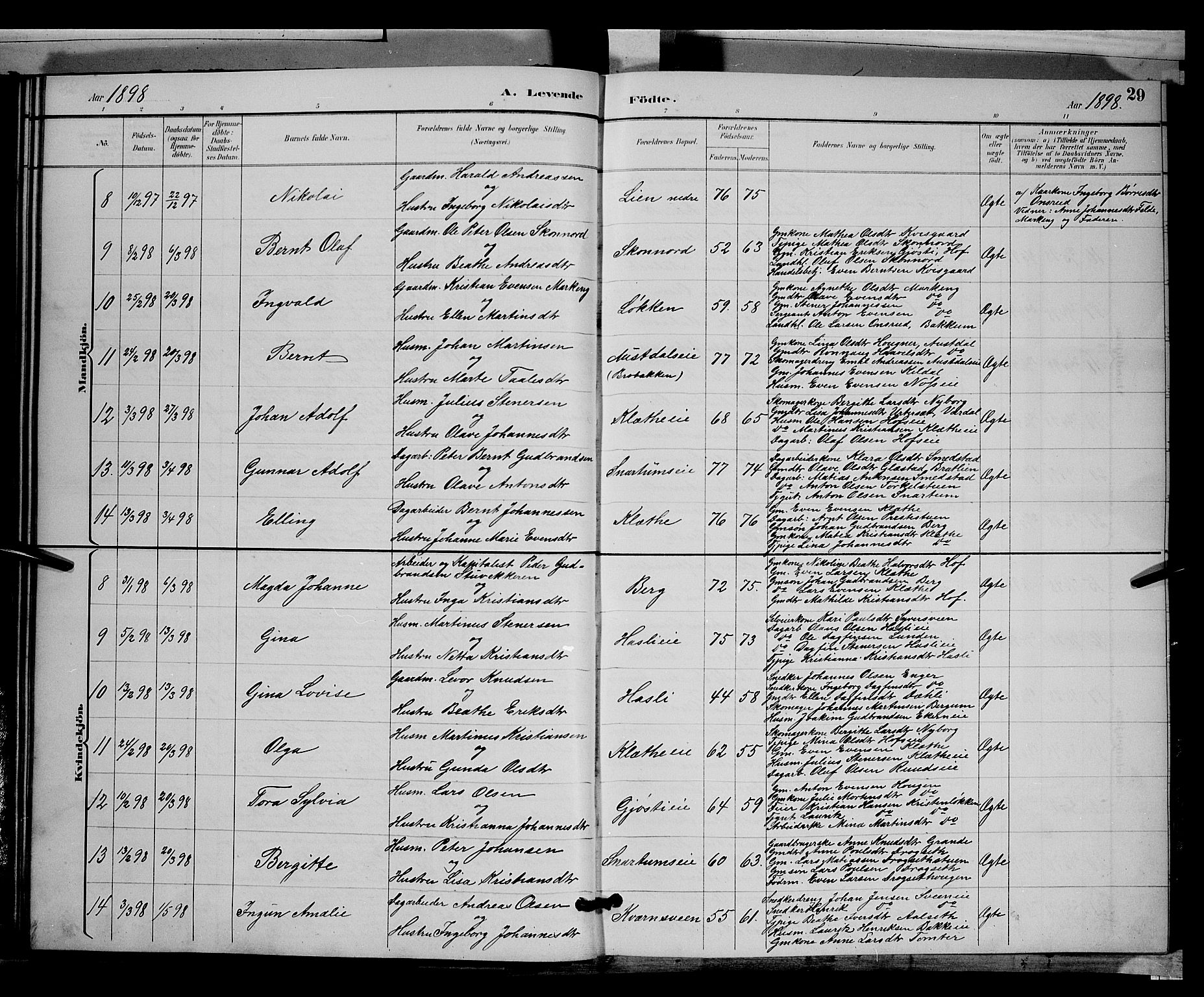 Biri prestekontor, SAH/PREST-096/H/Ha/Hab/L0003: Parish register (copy) no. 3, 1892-1905, p. 29