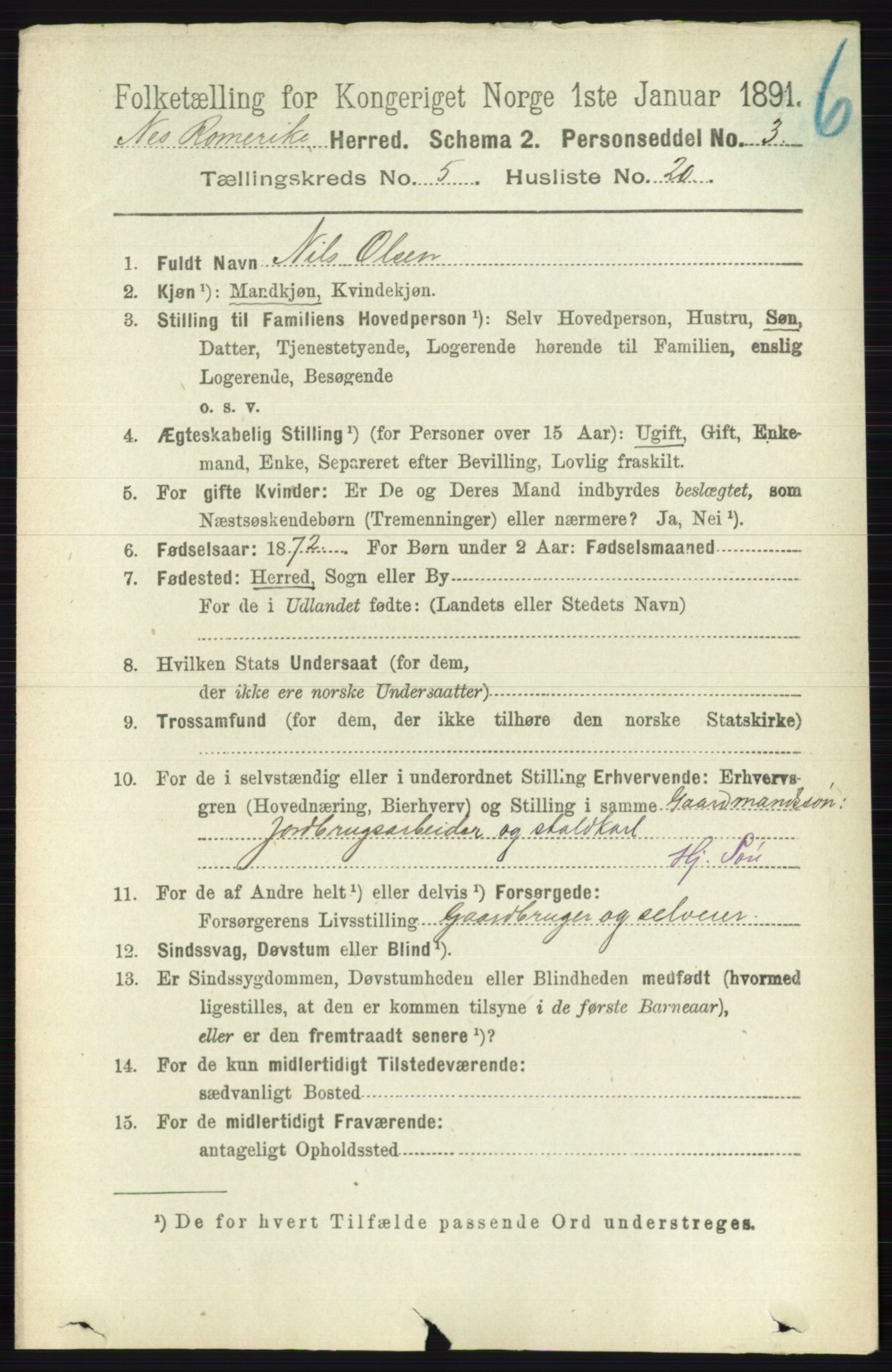 RA, 1891 census for 0236 Nes, 1891, p. 2898