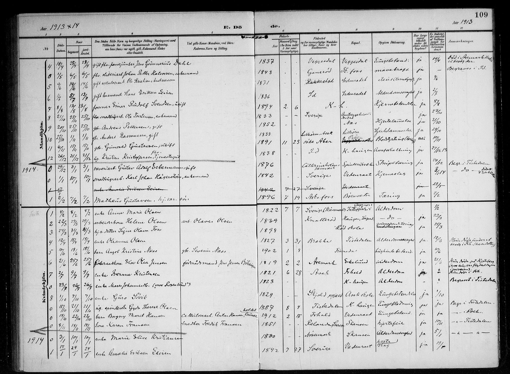 Berg prestekontor Kirkebøker, AV/SAO-A-10902/F/Fb/L0003: Parish register (official) no. II 3, 1903-1919, p. 109