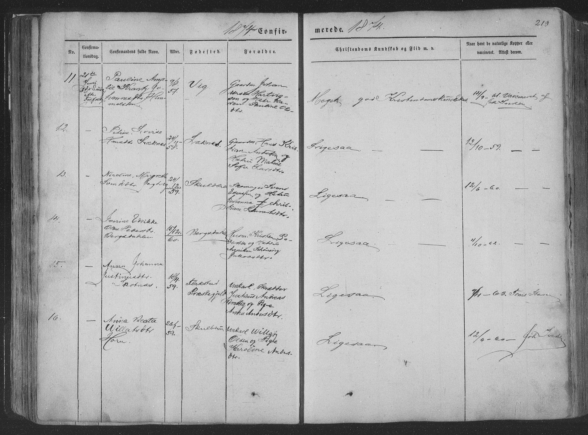 Ministerialprotokoller, klokkerbøker og fødselsregistre - Nordland, AV/SAT-A-1459/881/L1165: Parish register (copy) no. 881C02, 1854-1876, p. 219