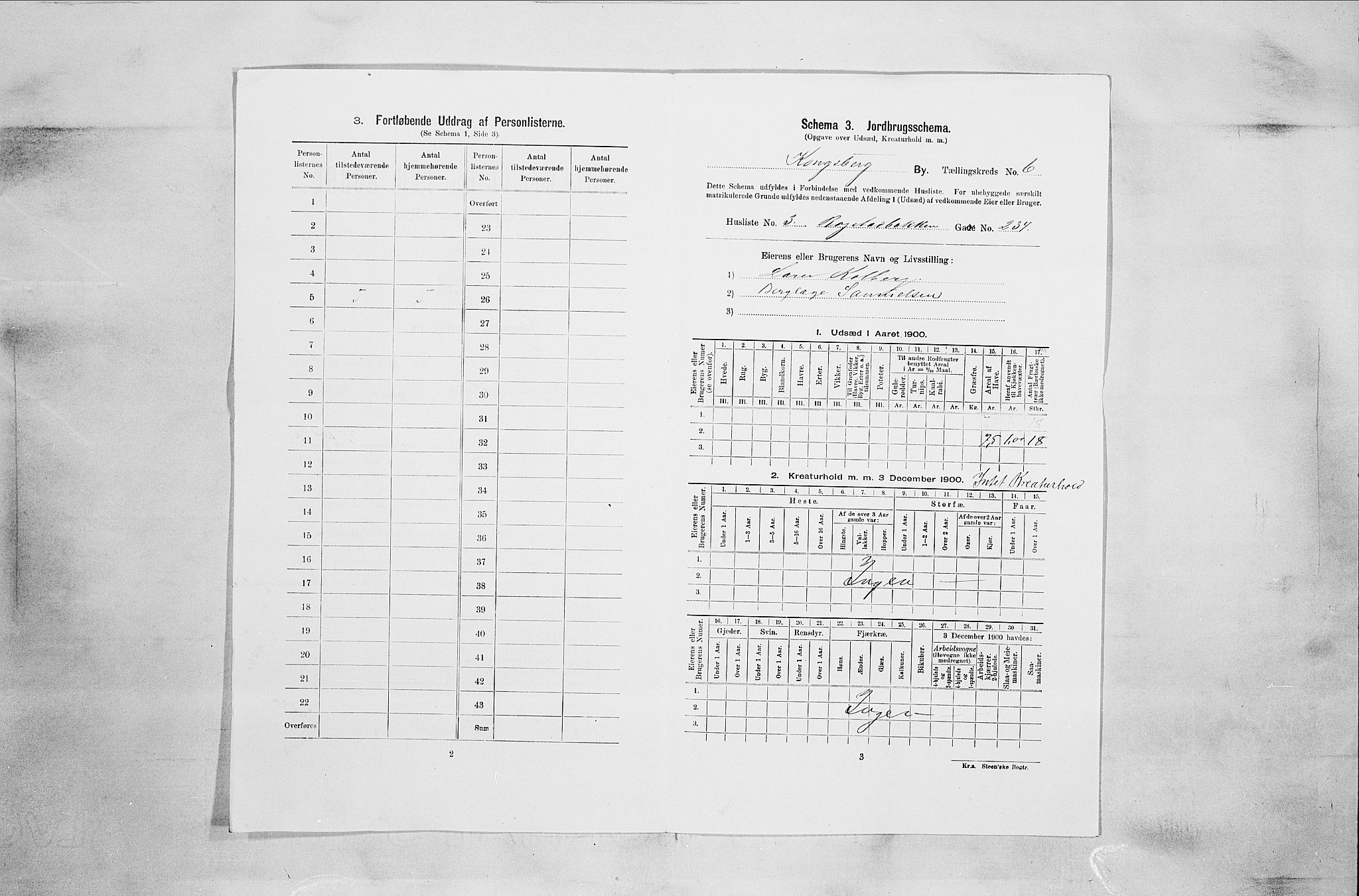 RA, 1900 census for Kongsberg, 1900, p. 1043