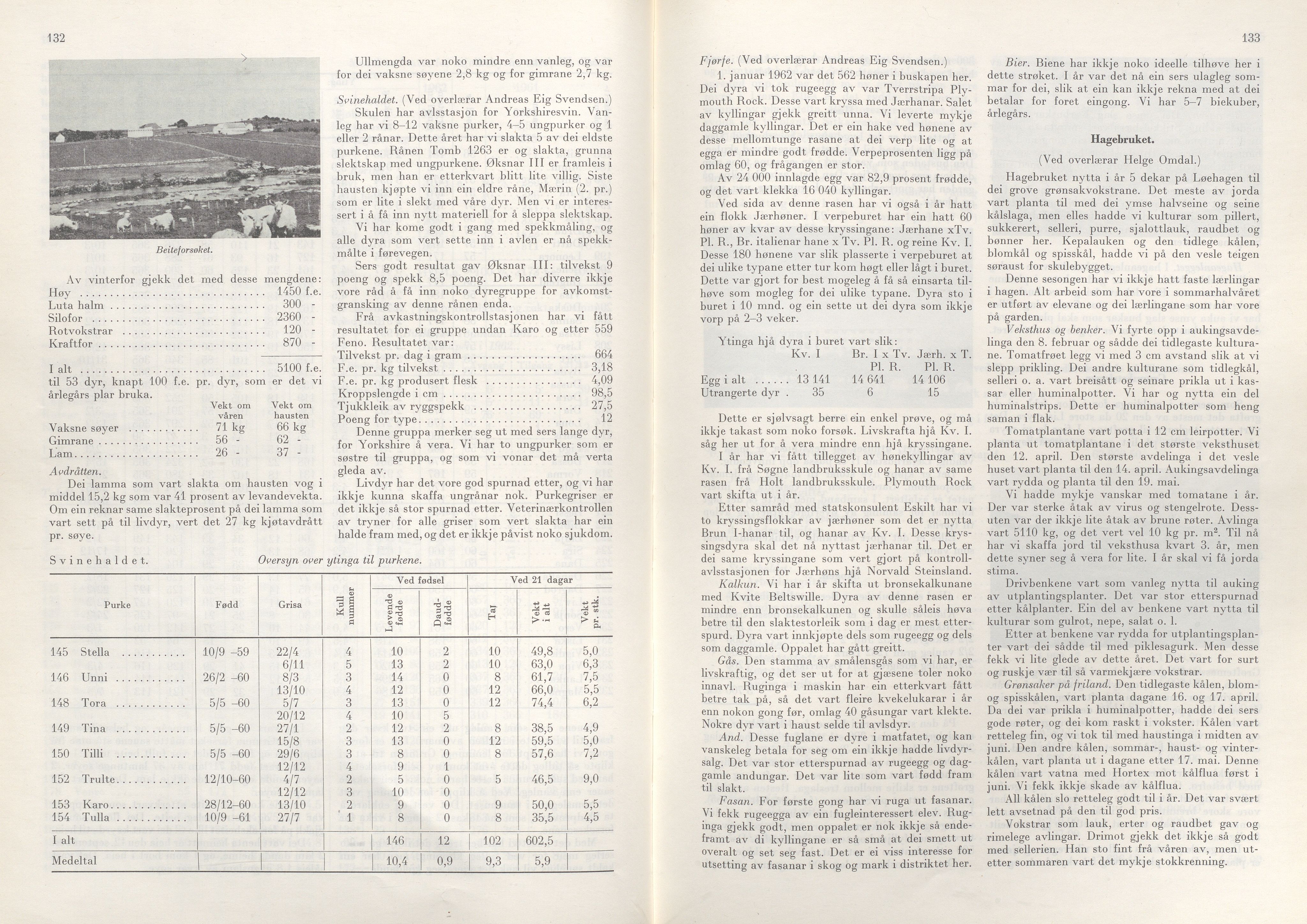 Rogaland fylkeskommune - Fylkesrådmannen , IKAR/A-900/A/Aa/Aaa/L0083: Møtebok , 1963, p. 132-133