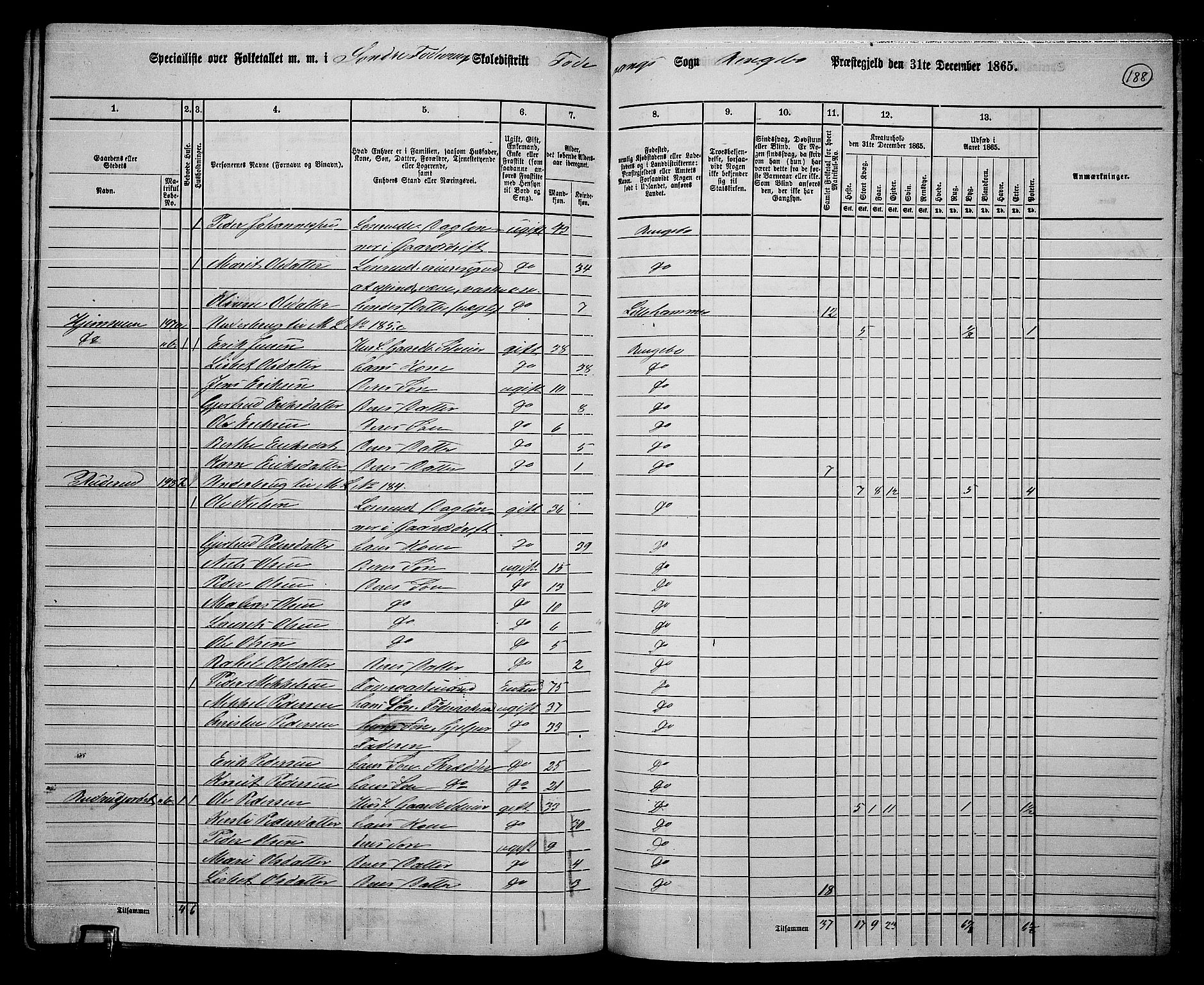 RA, 1865 census for Ringebu, 1865, p. 163