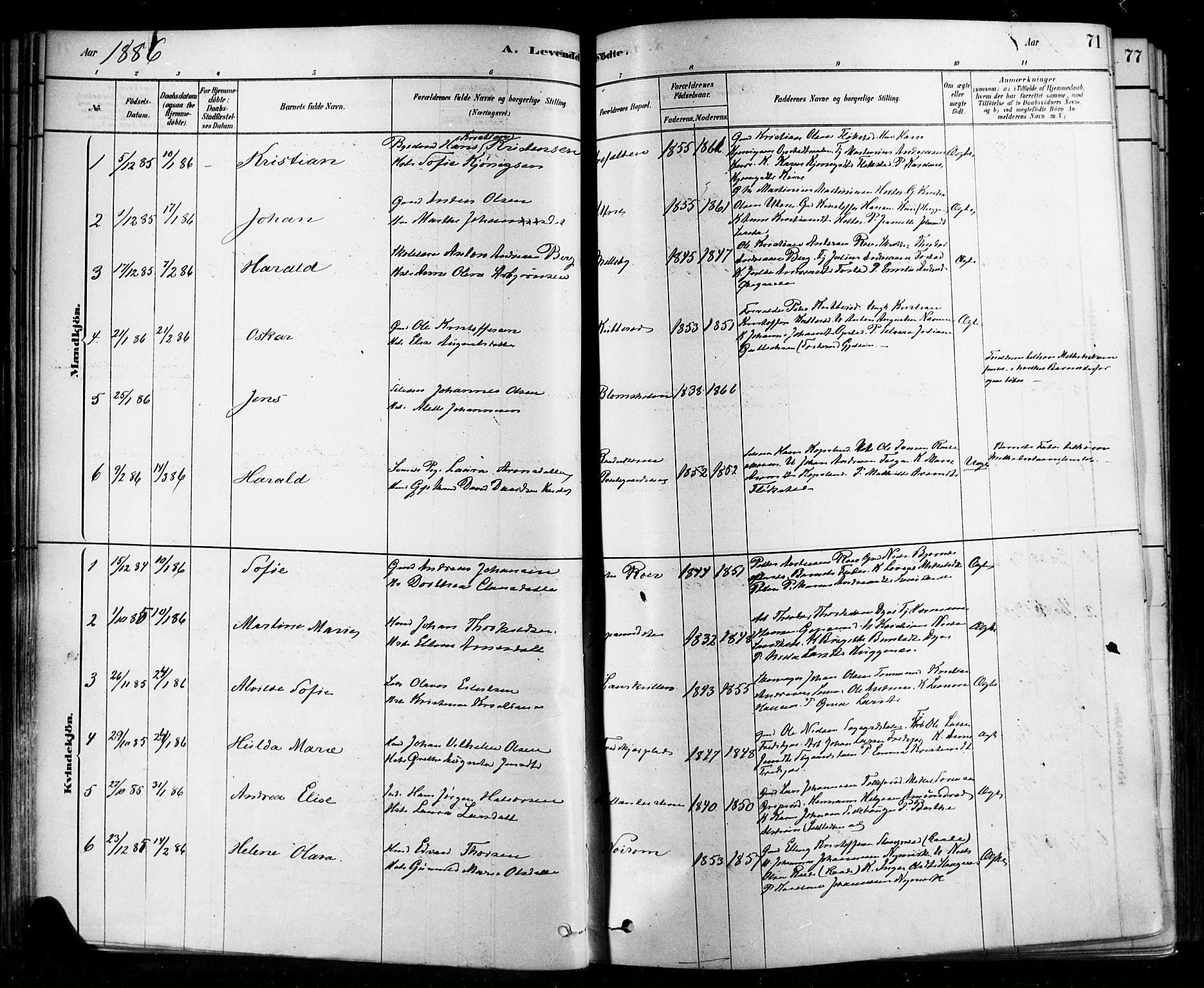 Rygge prestekontor Kirkebøker, SAO/A-10084b/F/Fa/L0007: Parish register (official) no. 7, 1878-1904, p. 71