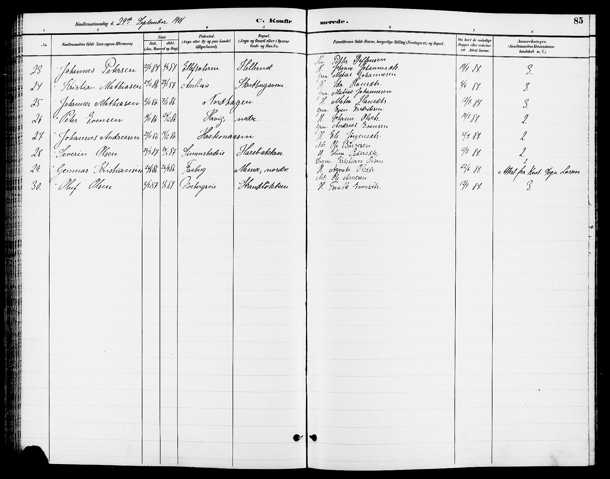 Ringsaker prestekontor, SAH/PREST-014/L/La/L0013: Parish register (copy) no. 13, 1891-1904, p. 85