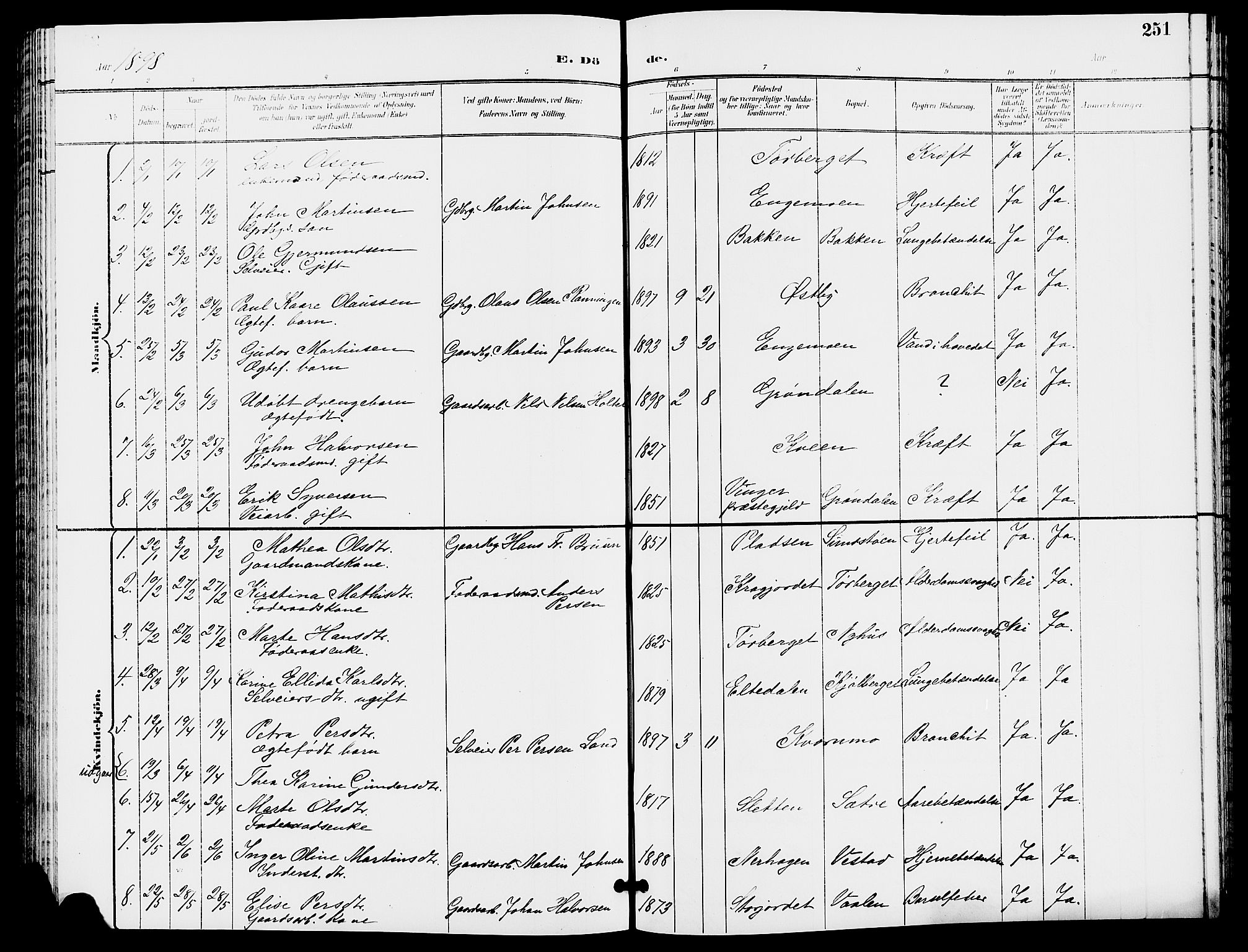 Trysil prestekontor, AV/SAH-PREST-046/H/Ha/Hab/L0006: Parish register (copy) no. 6, 1896-1912, p. 251