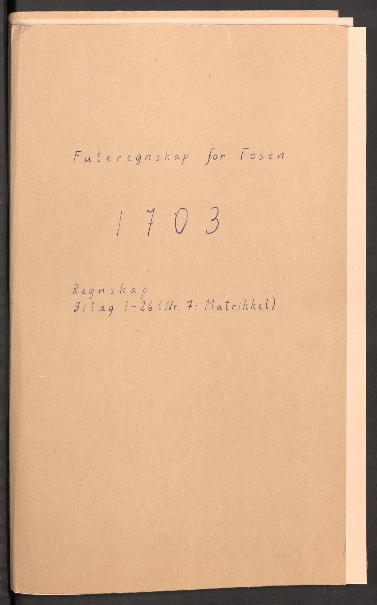 Rentekammeret inntil 1814, Reviderte regnskaper, Fogderegnskap, RA/EA-4092/R57/L3855: Fogderegnskap Fosen, 1702-1703, p. 195
