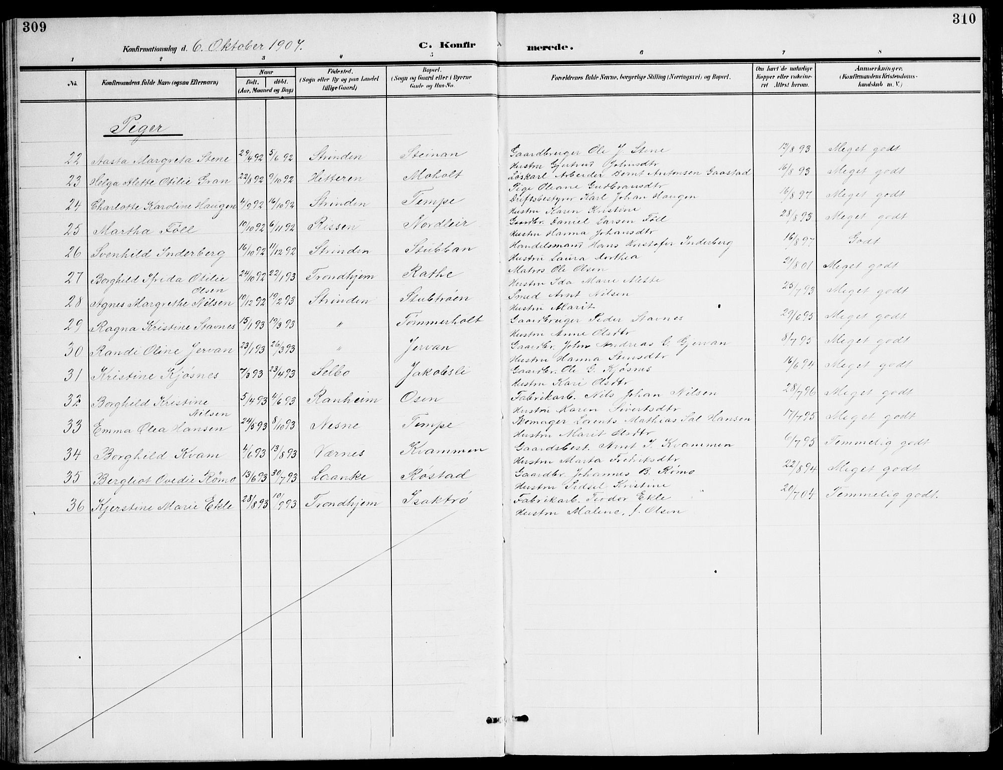 Ministerialprotokoller, klokkerbøker og fødselsregistre - Sør-Trøndelag, AV/SAT-A-1456/607/L0320: Parish register (official) no. 607A04, 1907-1915, p. 309-310