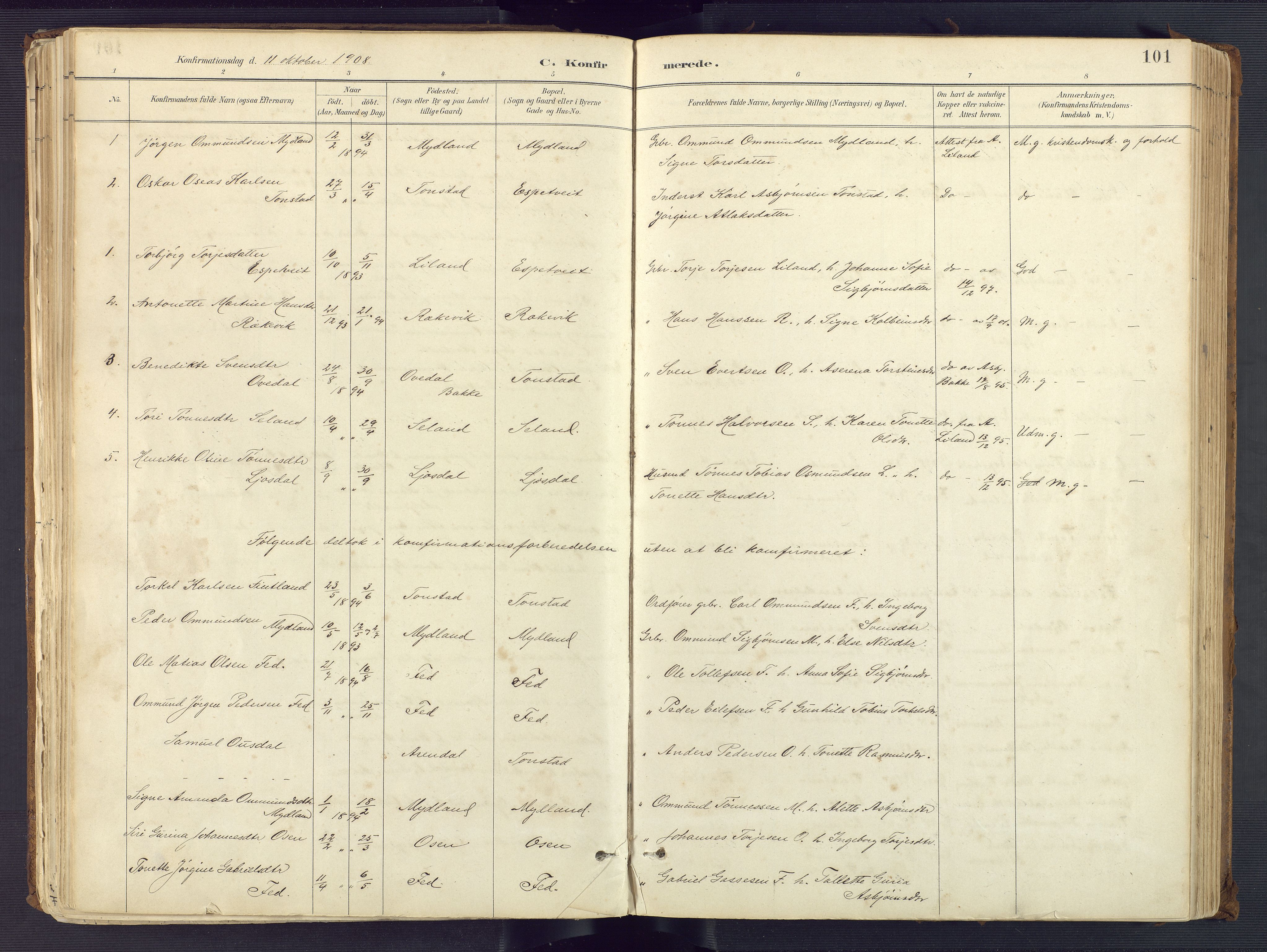 Sirdal sokneprestkontor, AV/SAK-1111-0036/F/Fa/Fab/L0004: Parish register (official) no. A 4, 1887-1919, p. 101