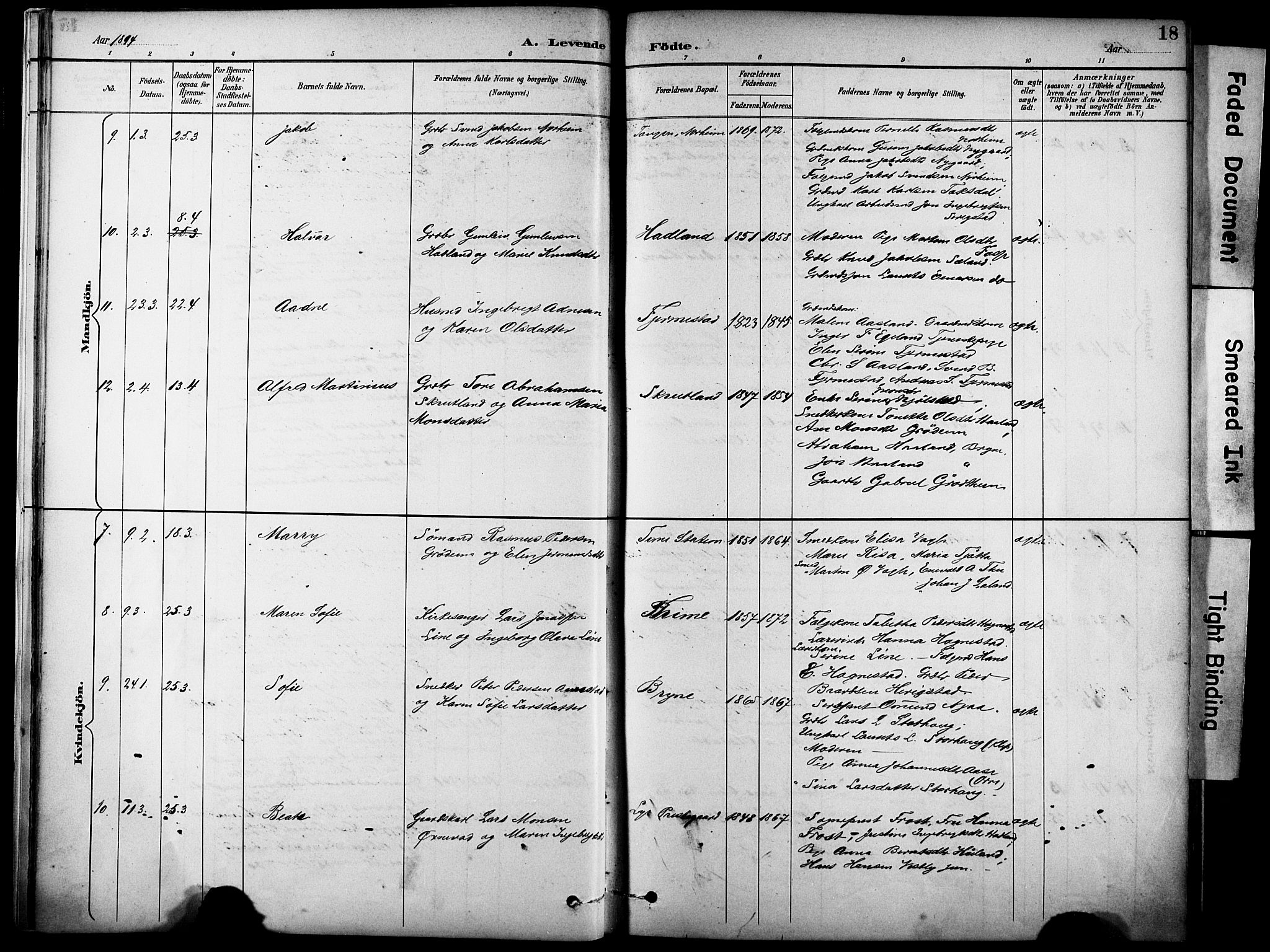 Lye sokneprestkontor, AV/SAST-A-101794/001/30BA/L0011: Parish register (official) no. A 9, 1893-1903, p. 18