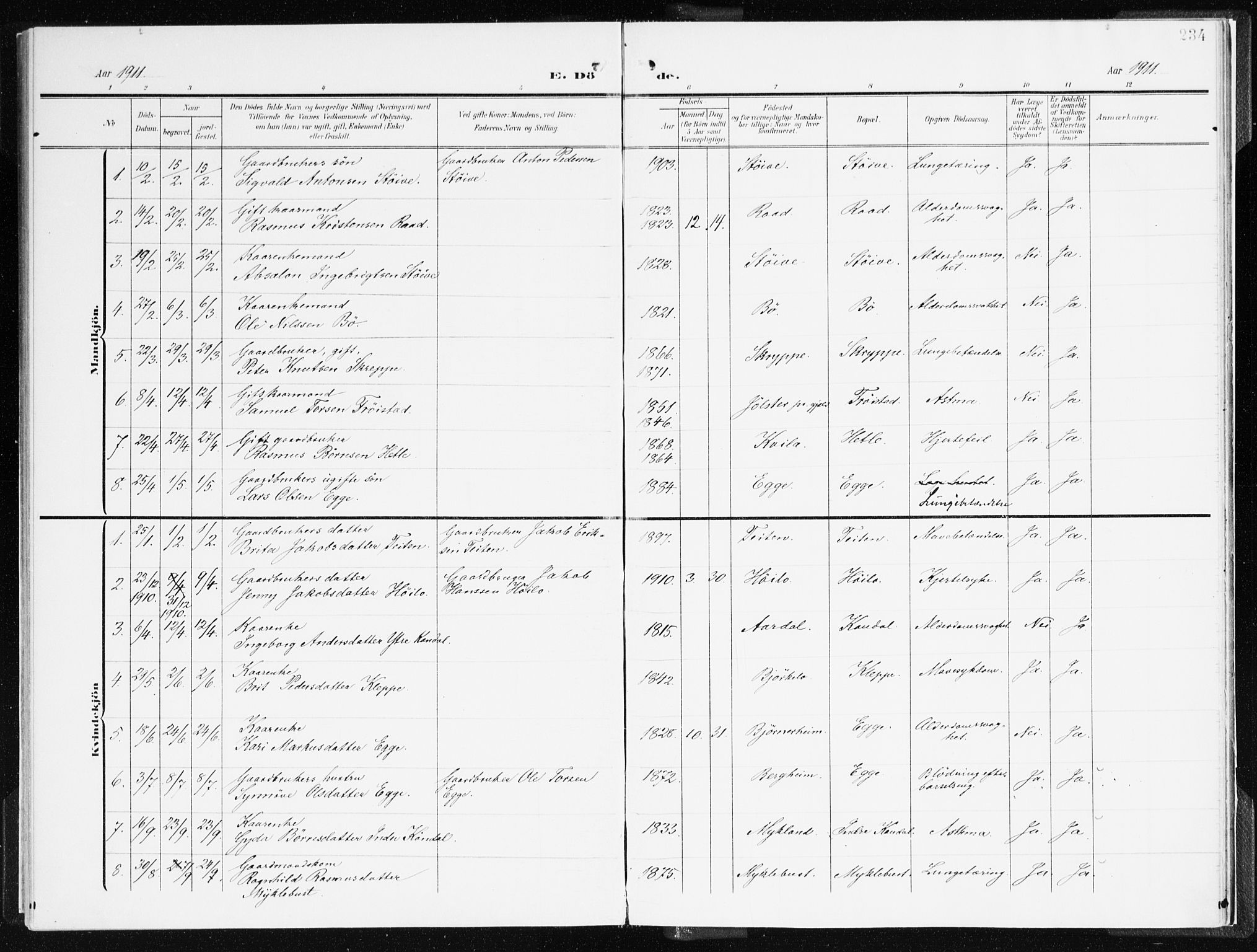 Gloppen sokneprestembete, AV/SAB-A-80101/H/Haa/Haac/L0003: Parish register (official) no. C 3, 1904-1921, p. 234