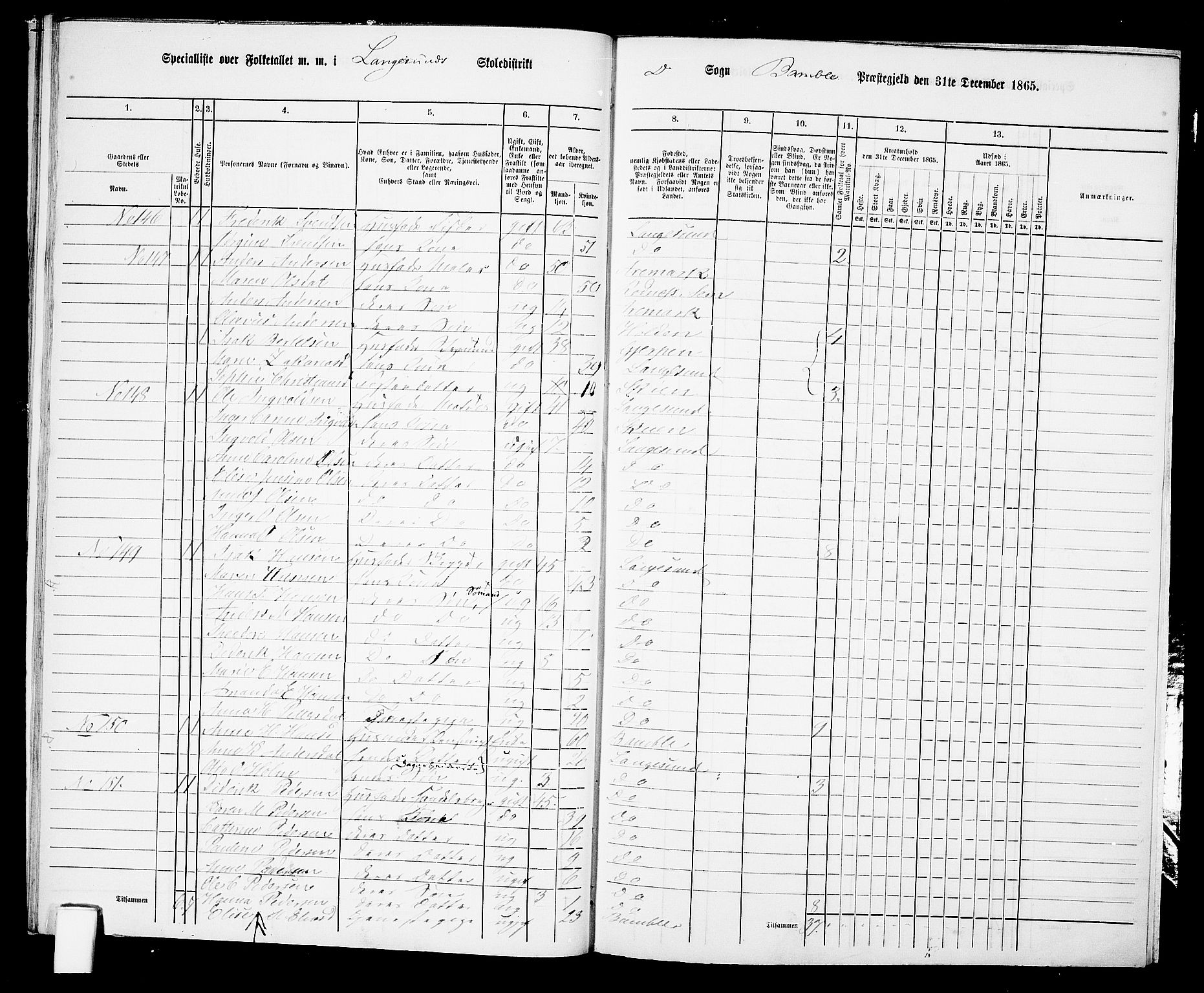 RA, 1865 census for Bamble, 1865, p. 219