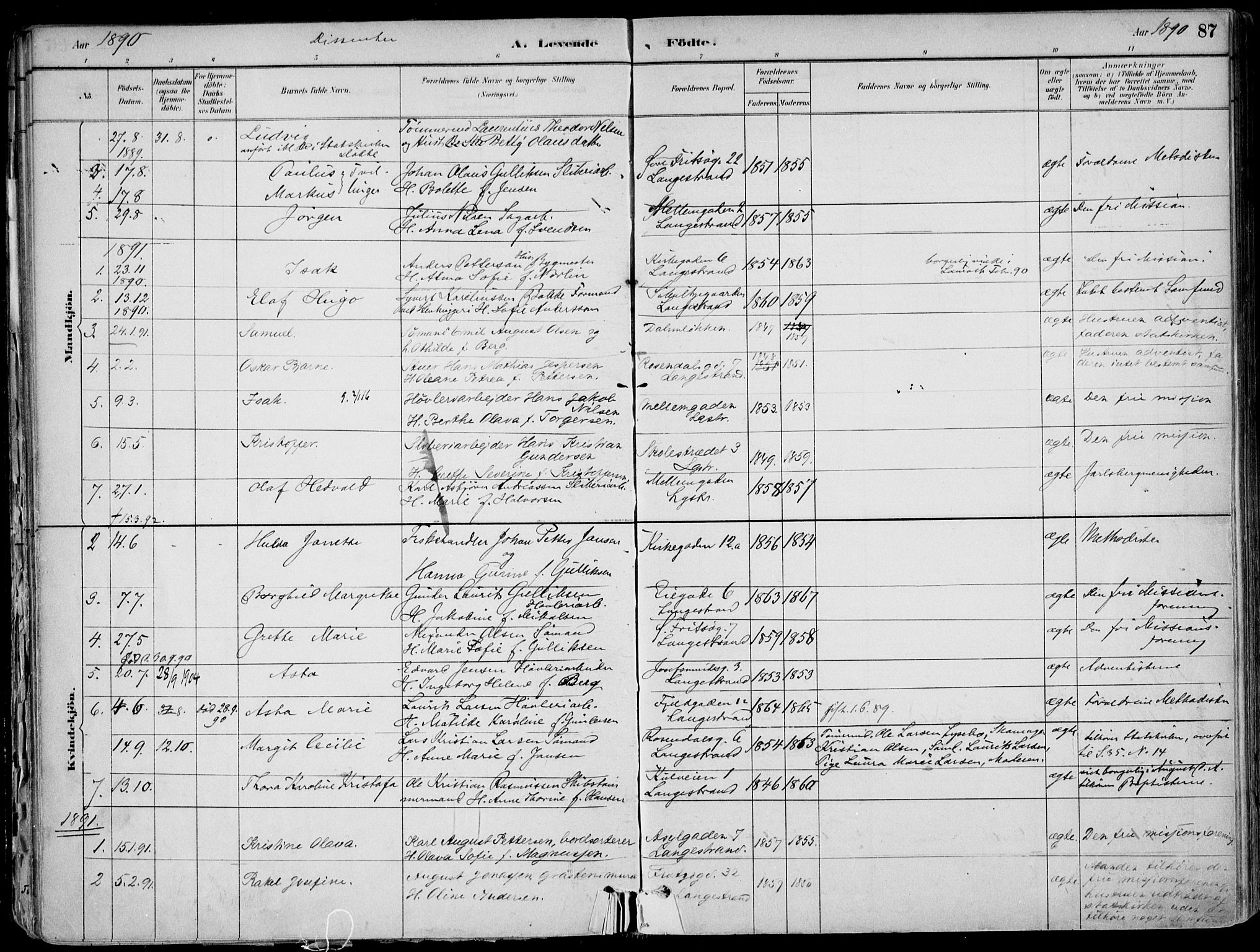 Larvik kirkebøker, AV/SAKO-A-352/F/Fb/L0004: Parish register (official) no. II 4, 1884-1902, p. 87