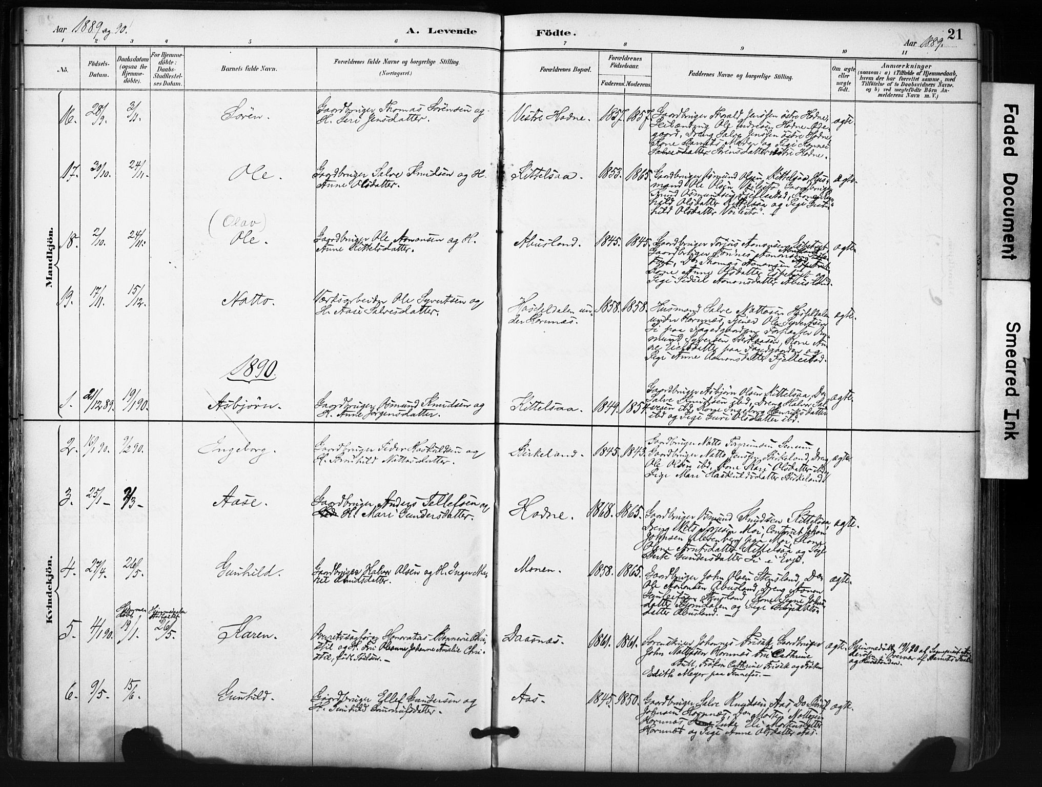 Evje sokneprestkontor, SAK/1111-0008/F/Fa/Fab/L0003: Parish register (official) no. A 3, 1884-1909, p. 21