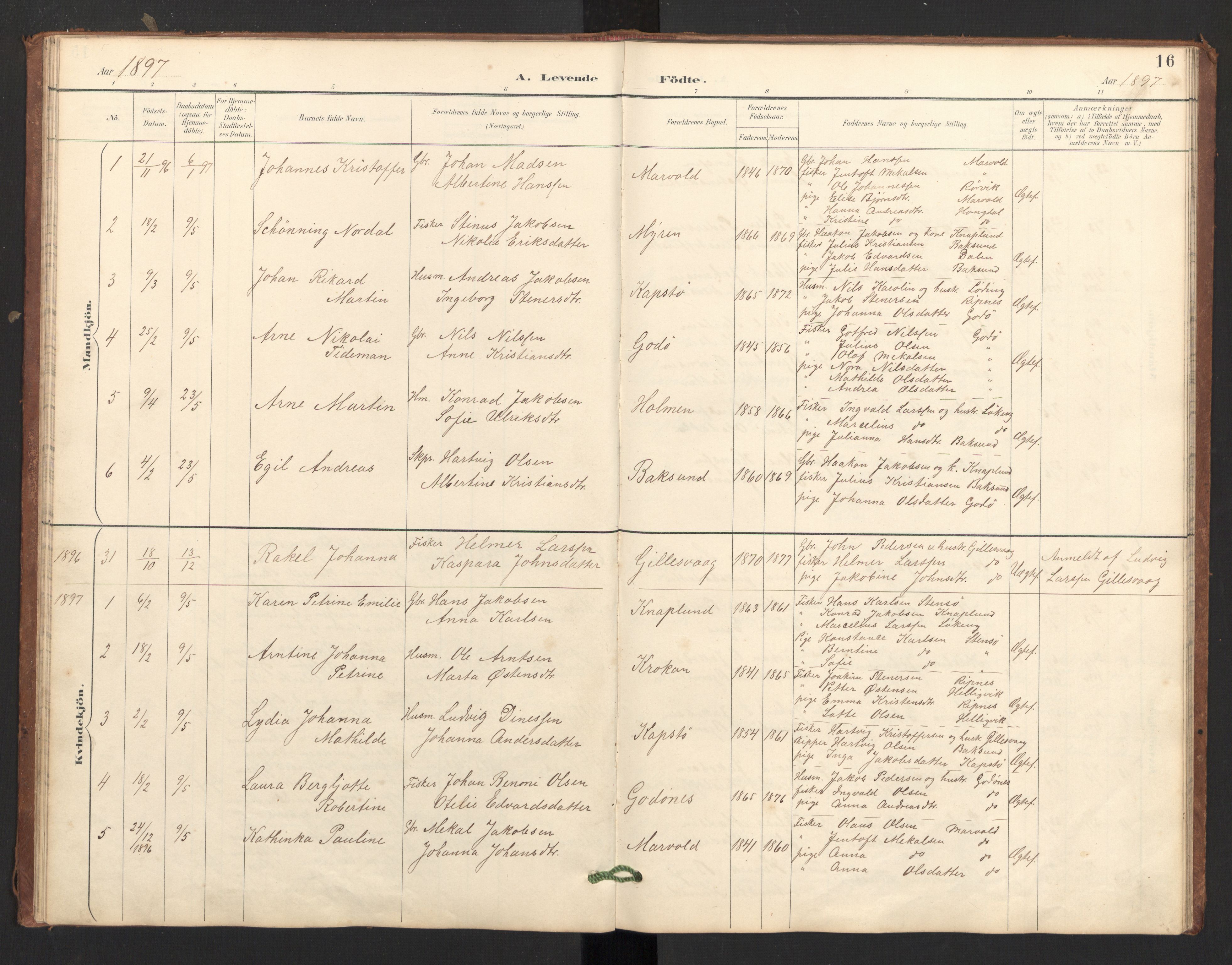 Ministerialprotokoller, klokkerbøker og fødselsregistre - Nordland, SAT/A-1459/804/L0087: Parish register (official) no. 804A08, 1894-1907, p. 16
