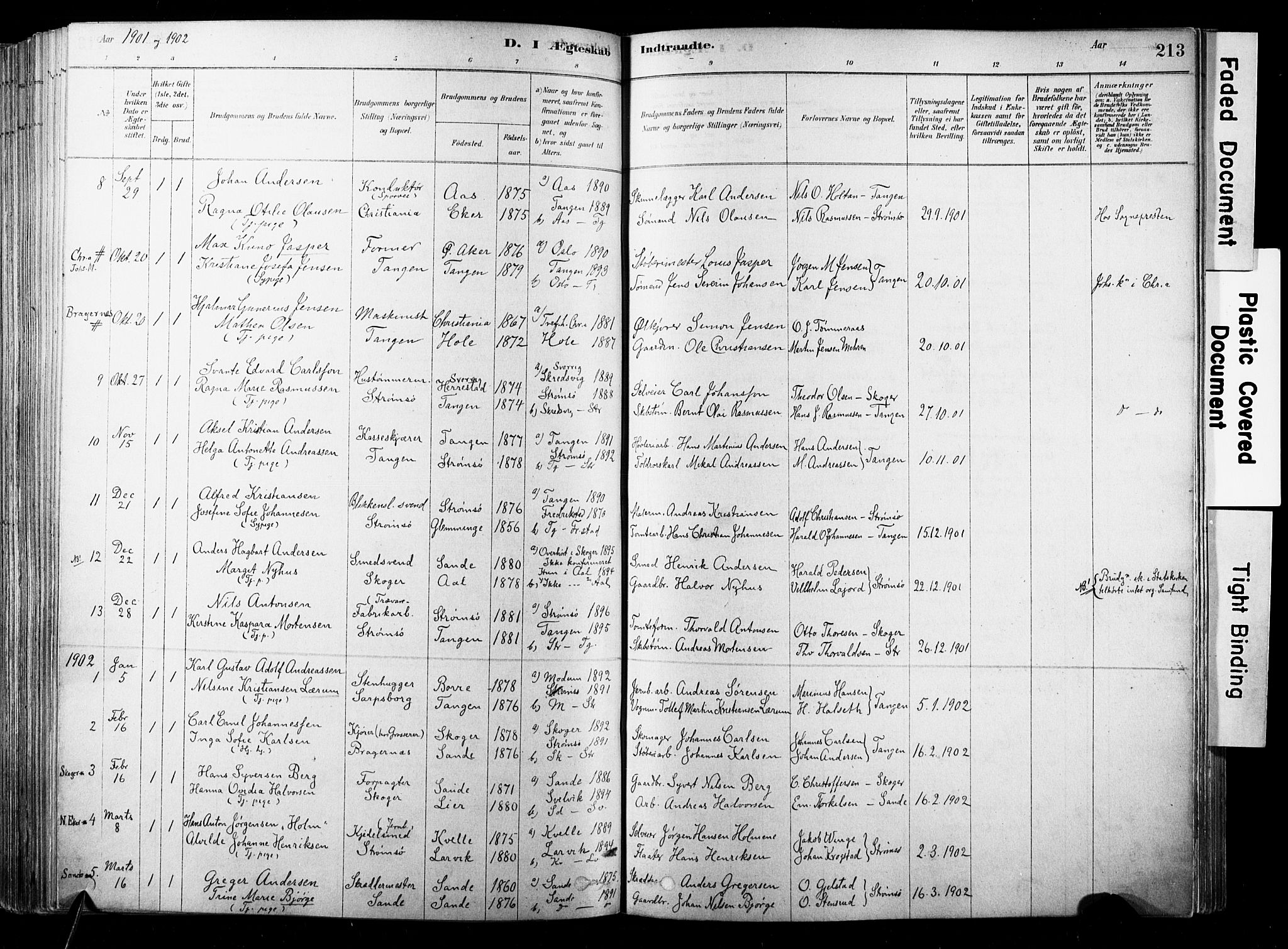 Strømsø kirkebøker, SAKO/A-246/F/Fb/L0006: Parish register (official) no. II 6, 1879-1910, p. 213