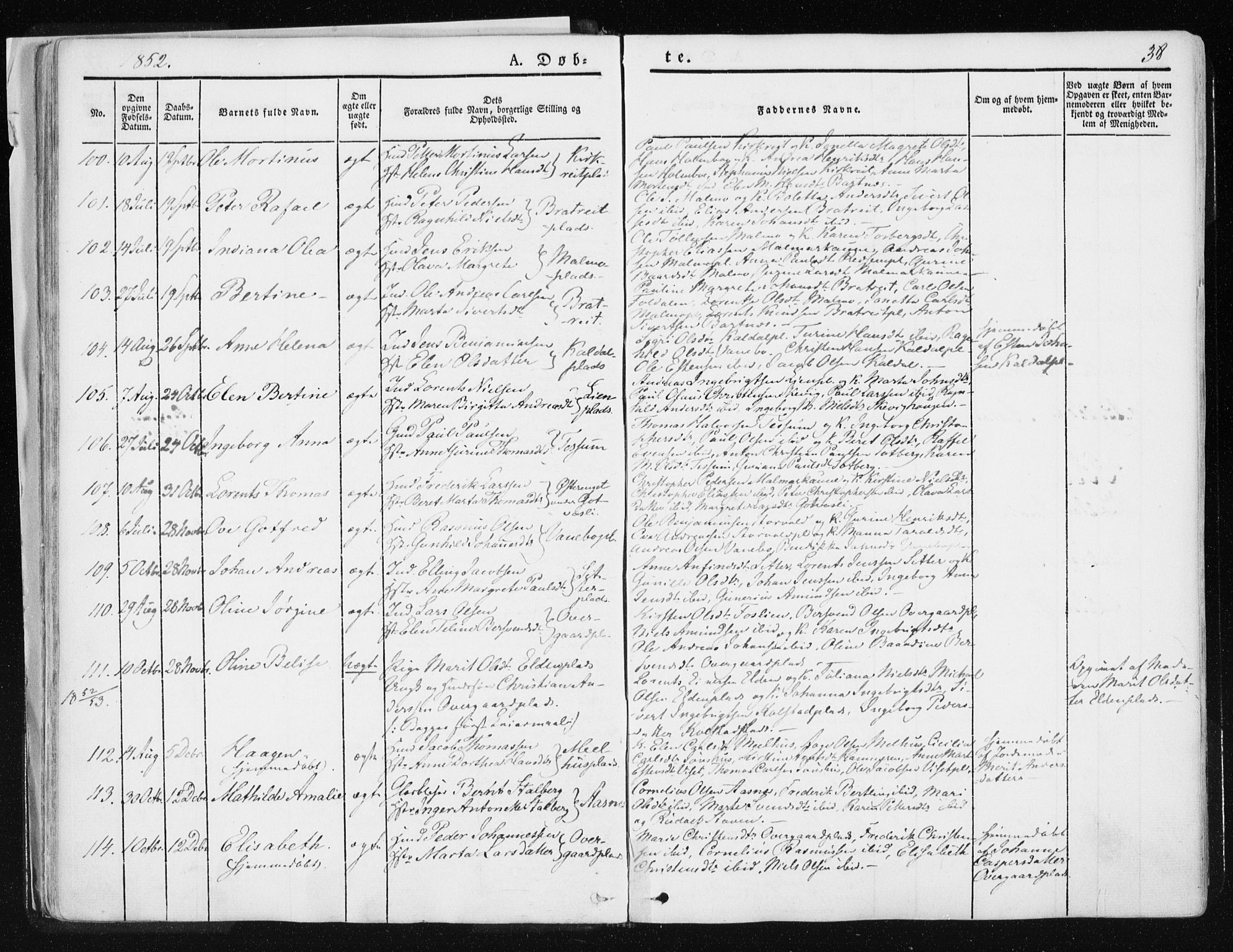 Ministerialprotokoller, klokkerbøker og fødselsregistre - Nord-Trøndelag, SAT/A-1458/741/L0393: Parish register (official) no. 741A07, 1849-1863, p. 38