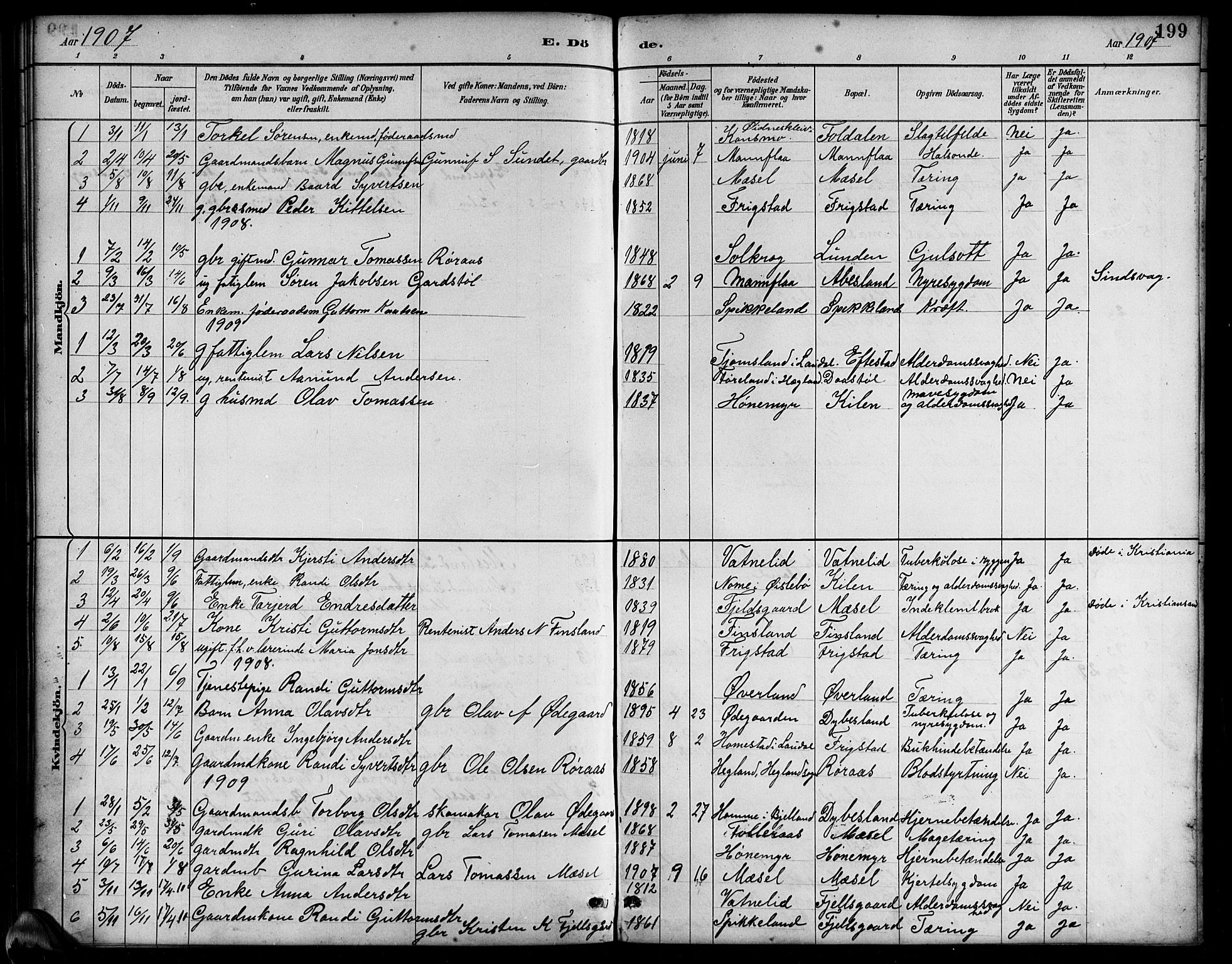 Bjelland sokneprestkontor, SAK/1111-0005/F/Fb/Fbb/L0005: Parish register (copy) no. B 5, 1887-1918, p. 199