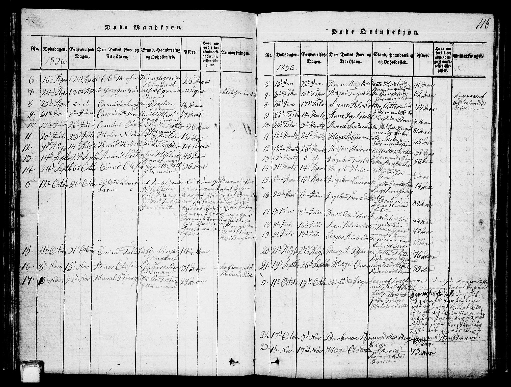 Vinje kirkebøker, SAKO/A-312/G/Ga/L0001: Parish register (copy) no. I 1, 1814-1843, p. 116