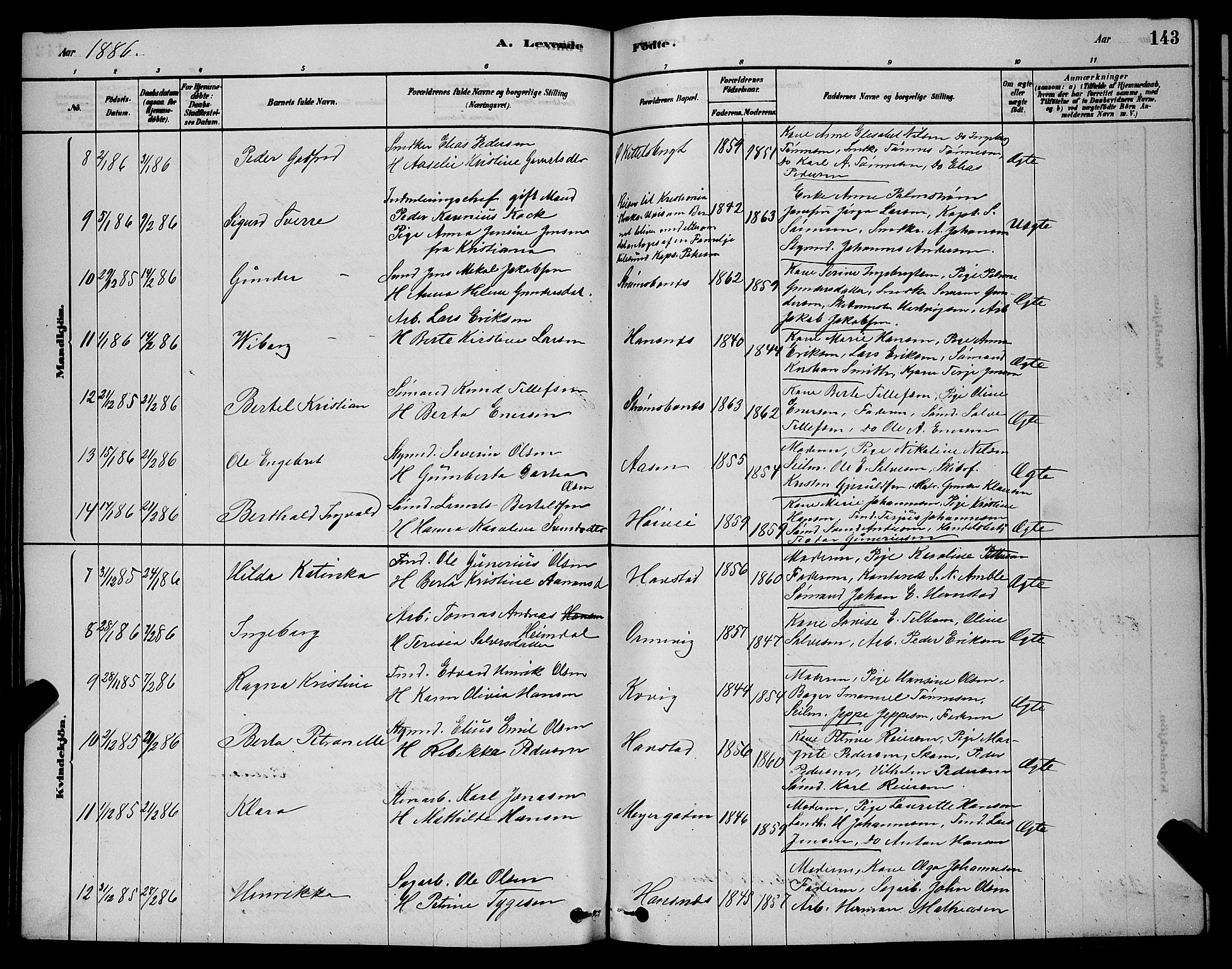 Barbu sokneprestkontor, AV/SAK-1111-0003/F/Fb/L0001: Parish register (copy) no. B 1, 1878-1890, p. 143