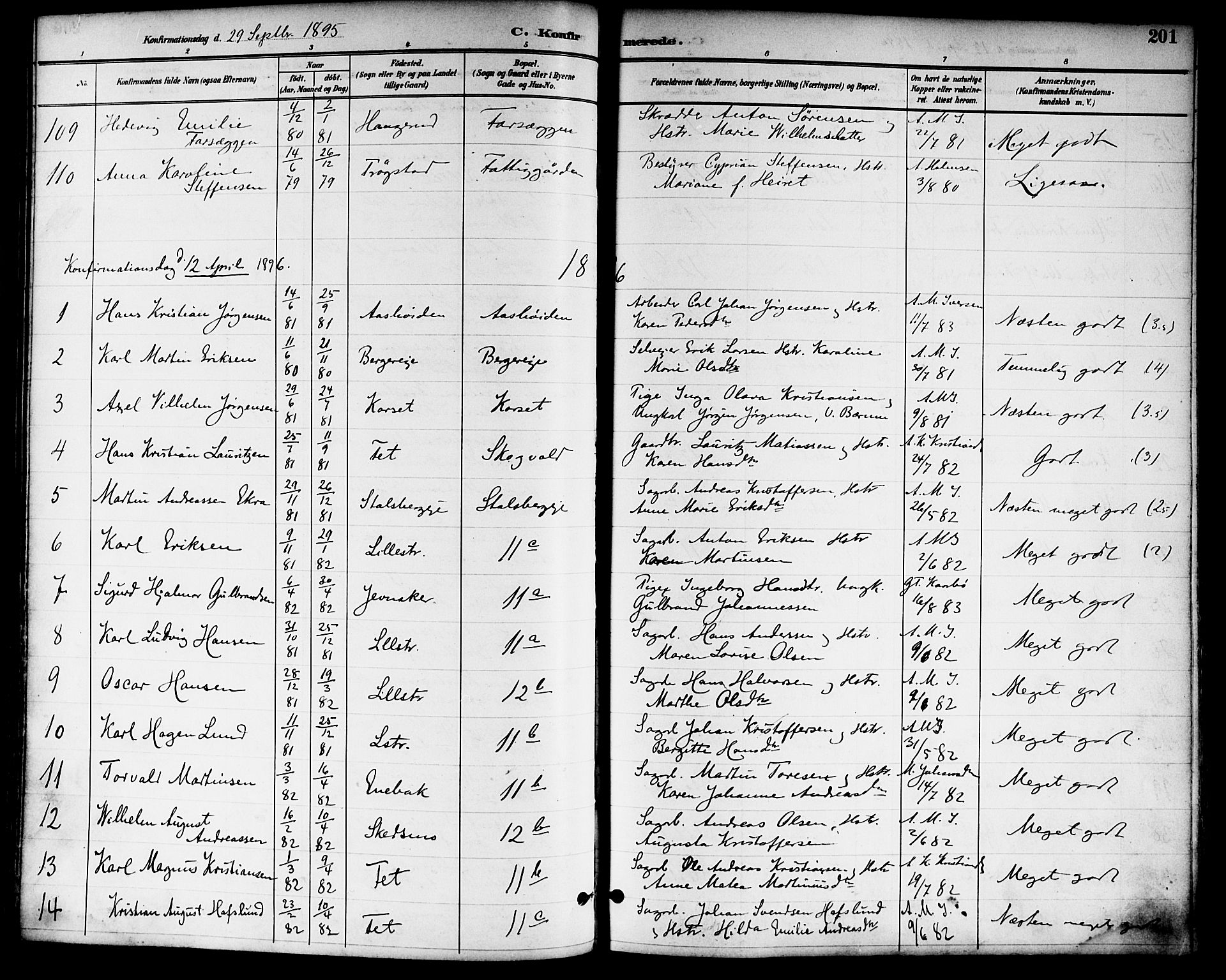 Skedsmo prestekontor Kirkebøker, SAO/A-10033a/F/Fa/L0014: Parish register (official) no. I 14, 1892-1901, p. 201