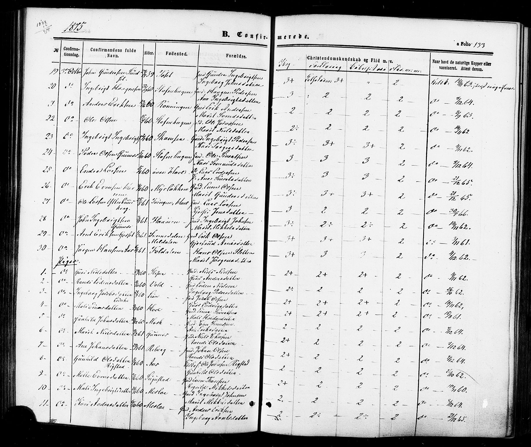 Ministerialprotokoller, klokkerbøker og fødselsregistre - Sør-Trøndelag, SAT/A-1456/674/L0870: Parish register (official) no. 674A02, 1861-1879, p. 133