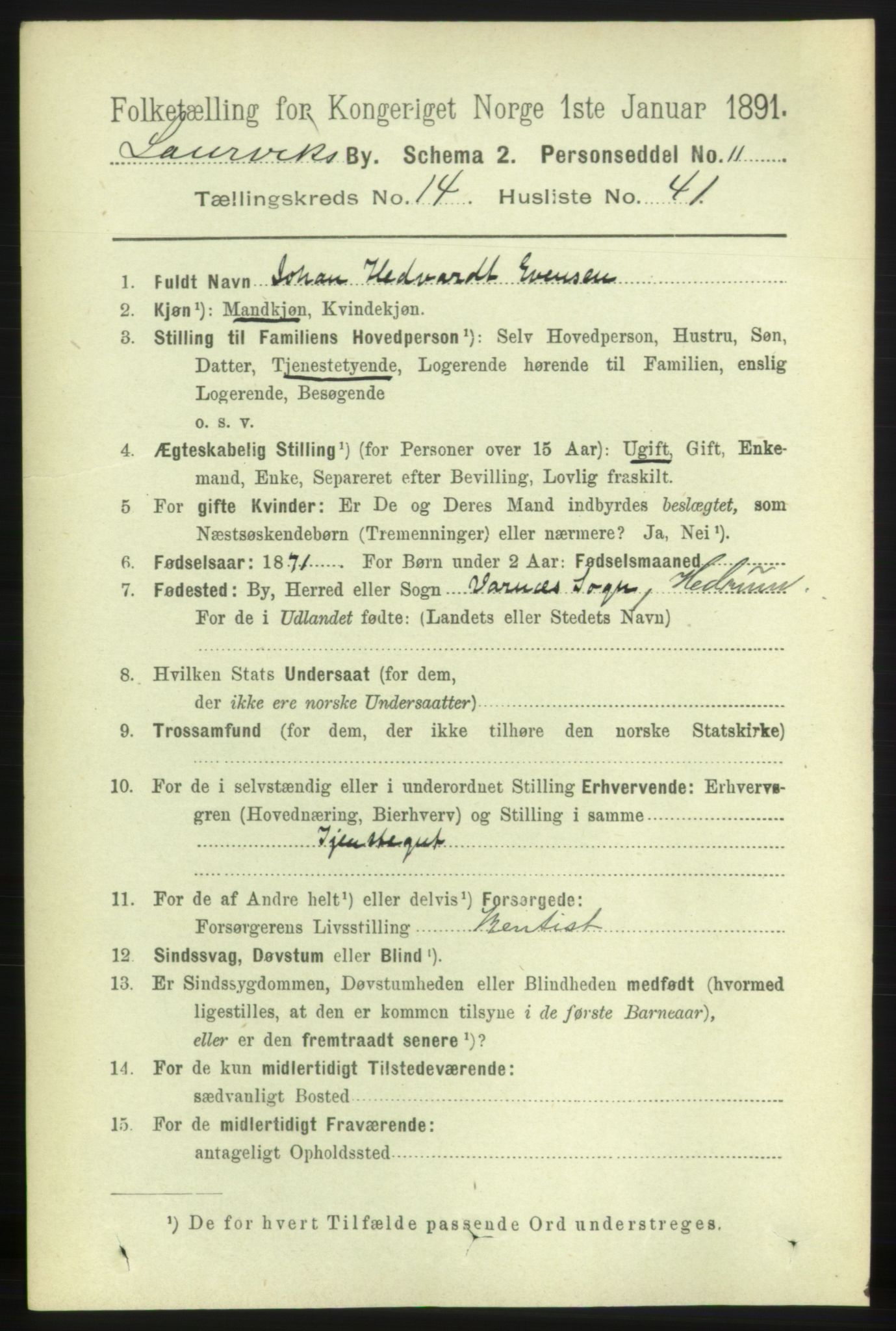 RA, 1891 census for 0707 Larvik, 1891, p. 11314