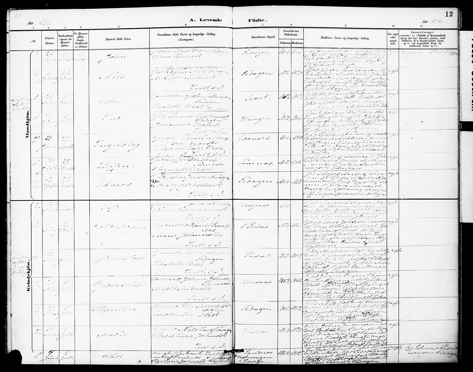 Ministerialprotokoller, klokkerbøker og fødselsregistre - Sør-Trøndelag, SAT/A-1456/683/L0948: Parish register (official) no. 683A01, 1891-1902, p. 12