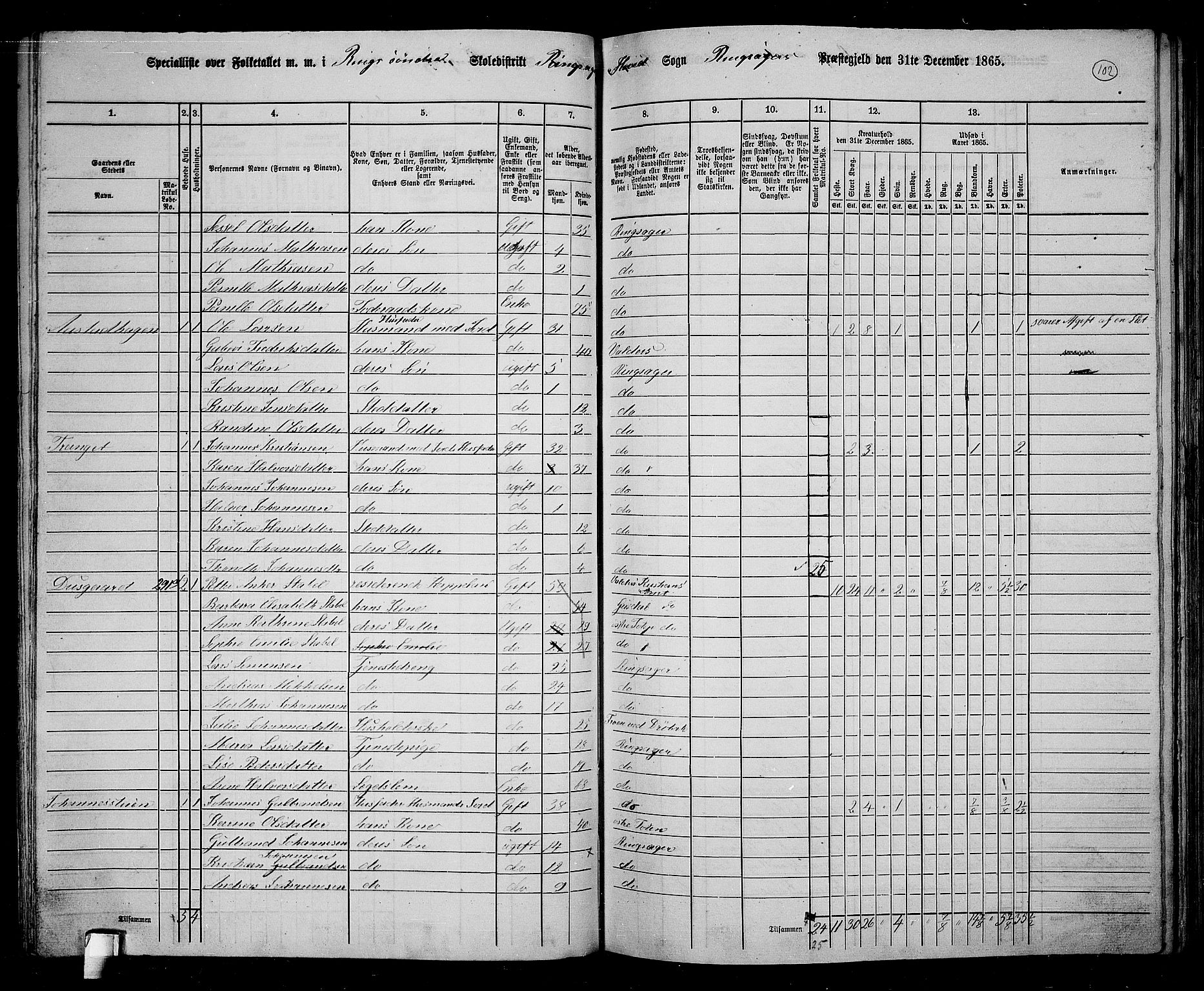 RA, 1865 census for Ringsaker, 1865, p. 351