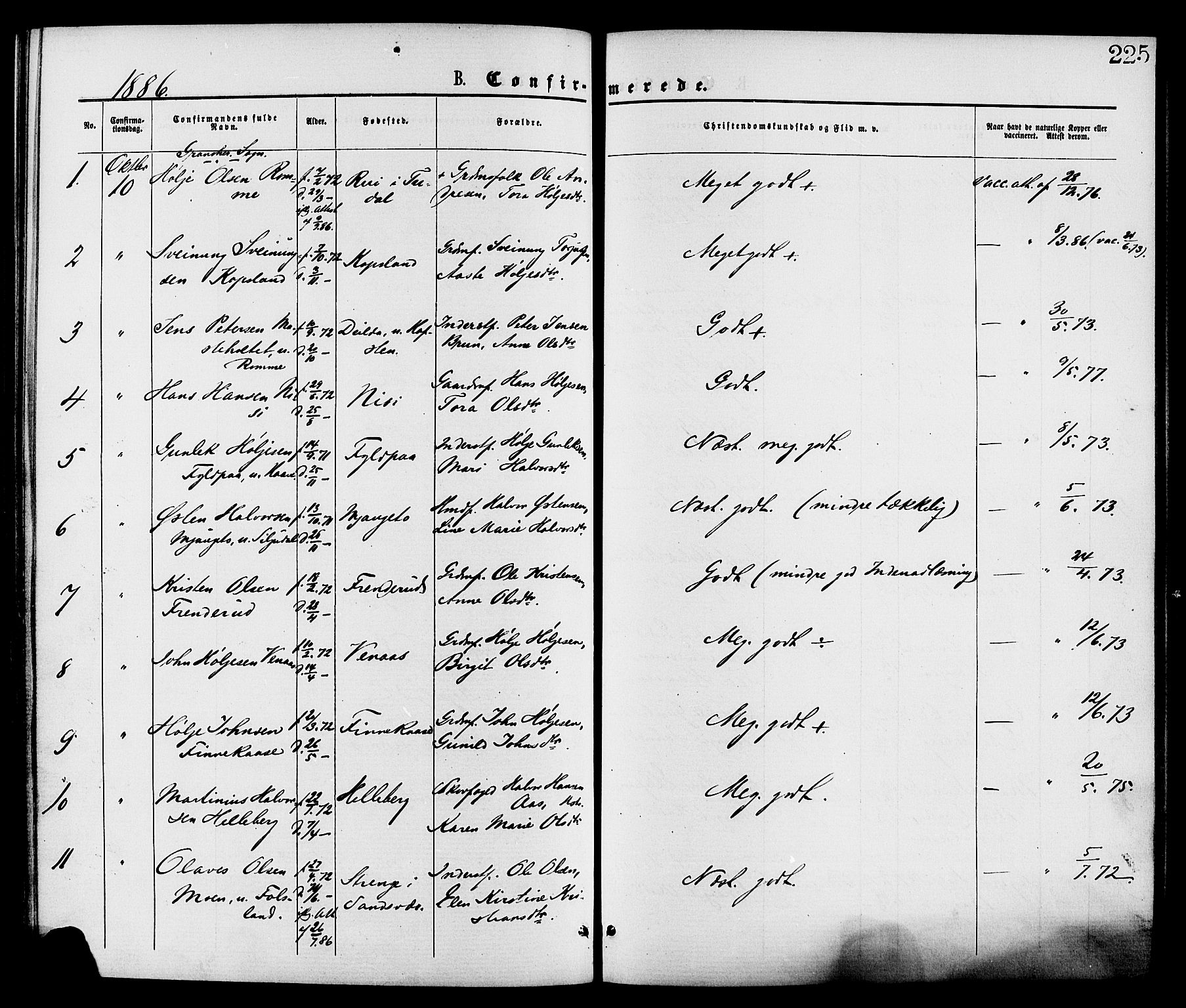 Gransherad kirkebøker, SAKO/A-267/F/Fa/L0004: Parish register (official) no. I 4, 1871-1886, p. 225