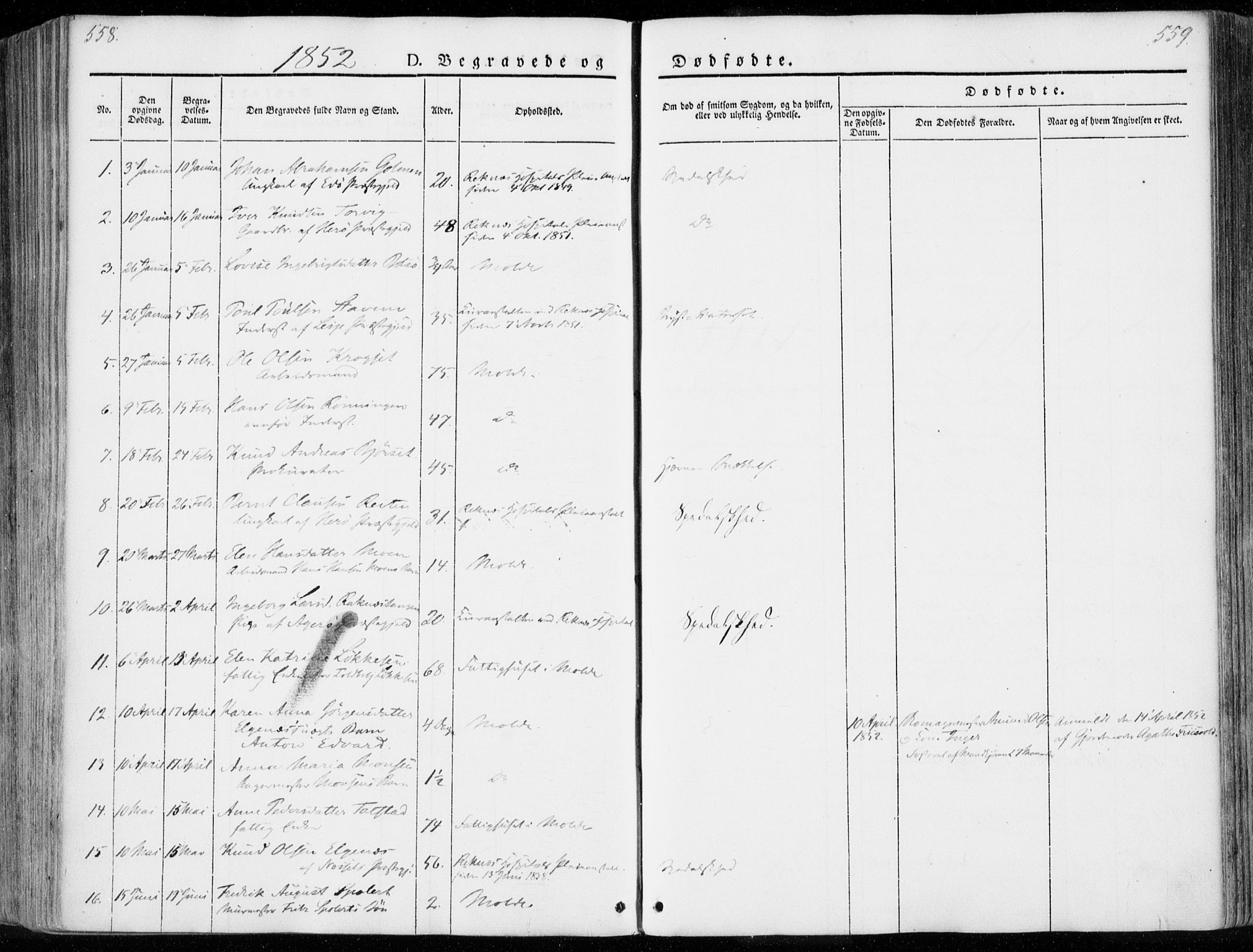 Ministerialprotokoller, klokkerbøker og fødselsregistre - Møre og Romsdal, AV/SAT-A-1454/558/L0689: Parish register (official) no. 558A03, 1843-1872, p. 558-559