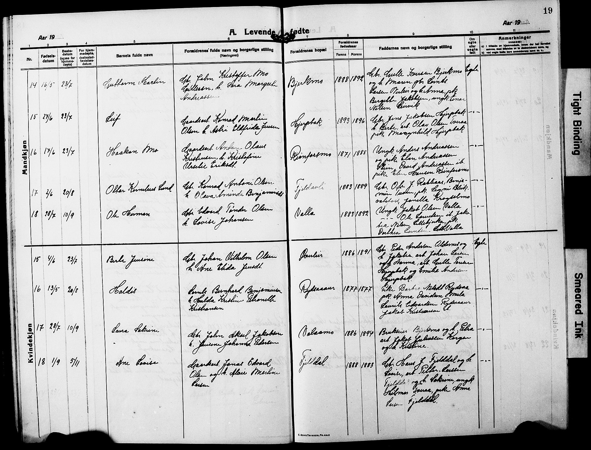 Ministerialprotokoller, klokkerbøker og fødselsregistre - Nordland, AV/SAT-A-1459/826/L0384: Parish register (copy) no. 826C04, 1914-1917, p. 19