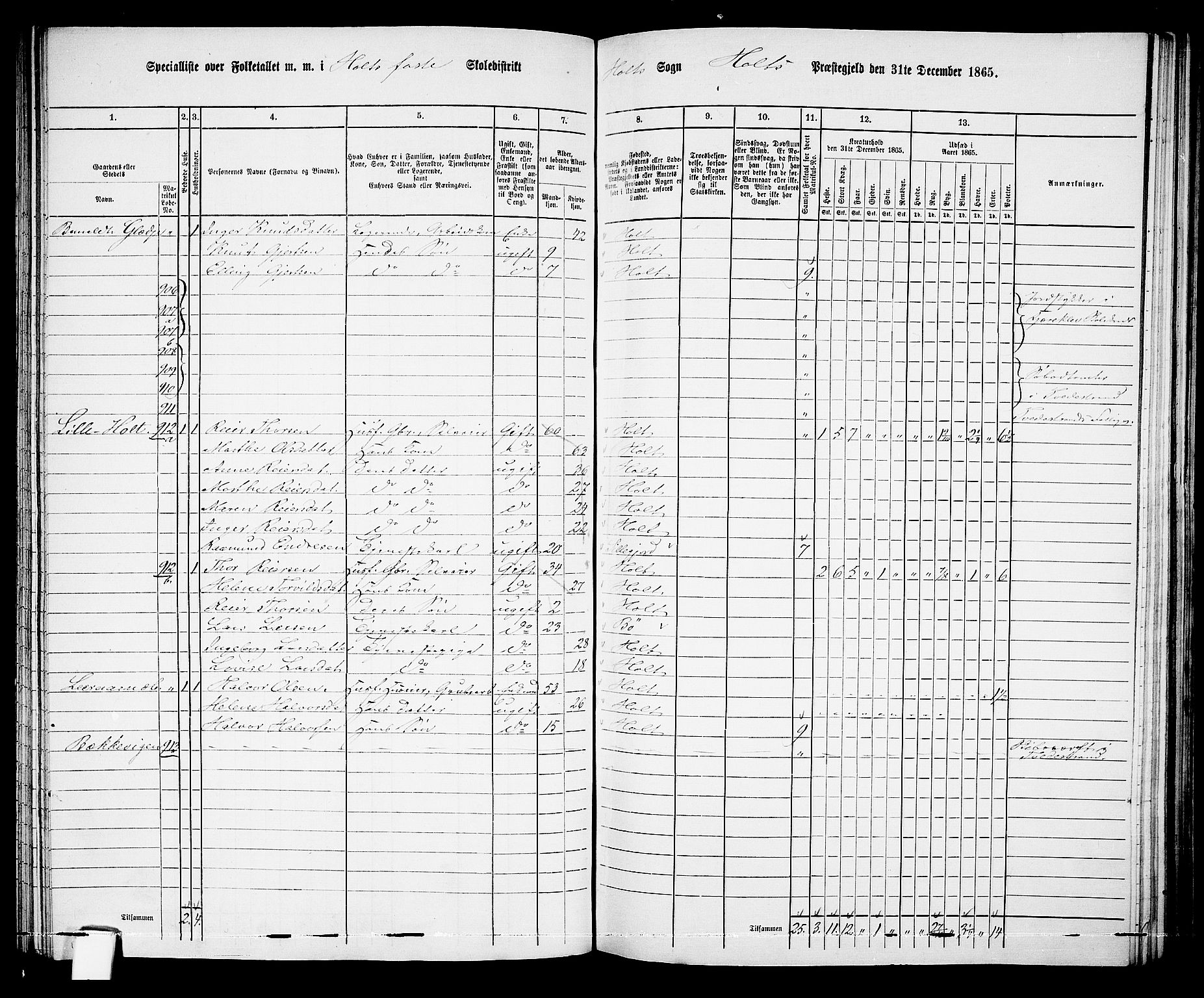 RA, 1865 census for Holt/Holt, 1865, p. 97