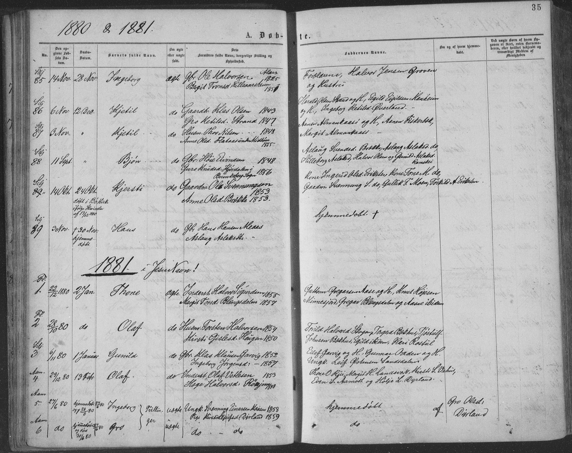 Seljord kirkebøker, AV/SAKO-A-20/F/Fa/L0014: Parish register (official) no. I 14, 1877-1886, p. 35