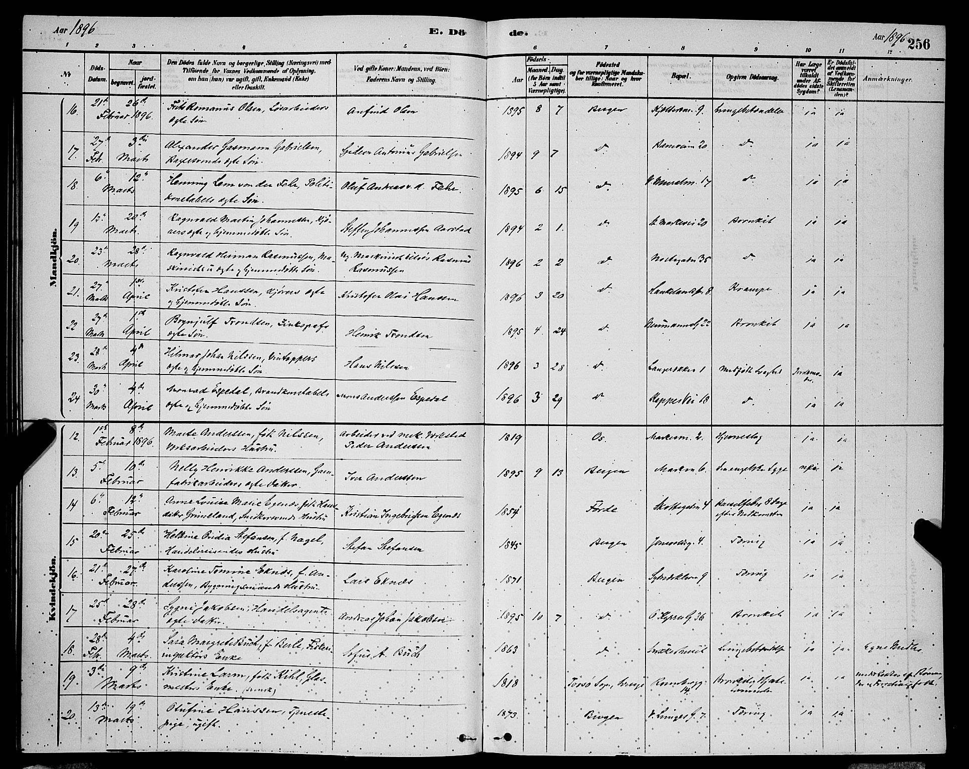 Domkirken sokneprestembete, AV/SAB-A-74801/H/Hab/L0041: Parish register (copy) no. E 5, 1878-1900, p. 256