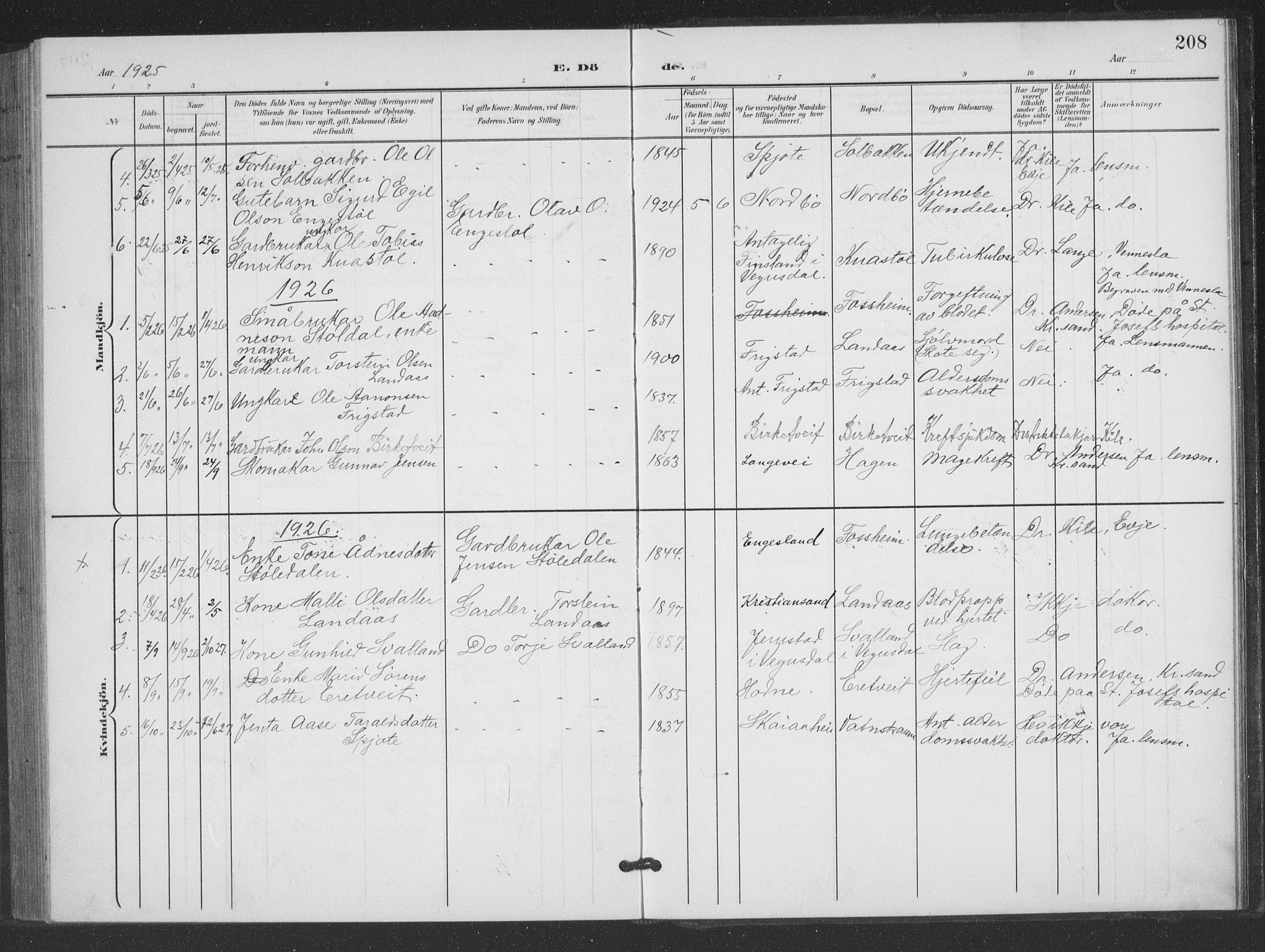 Evje sokneprestkontor, SAK/1111-0008/F/Fb/Fbc/L0005: Parish register (copy) no. B 5, 1901-1935, p. 208
