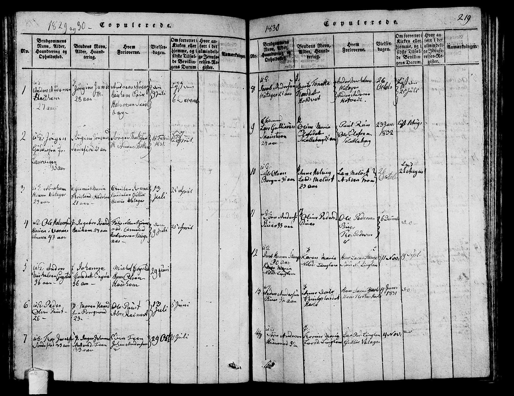 Sandar kirkebøker, SAKO/A-243/G/Ga/L0001: Parish register (copy) no. 1, 1814-1835, p. 219