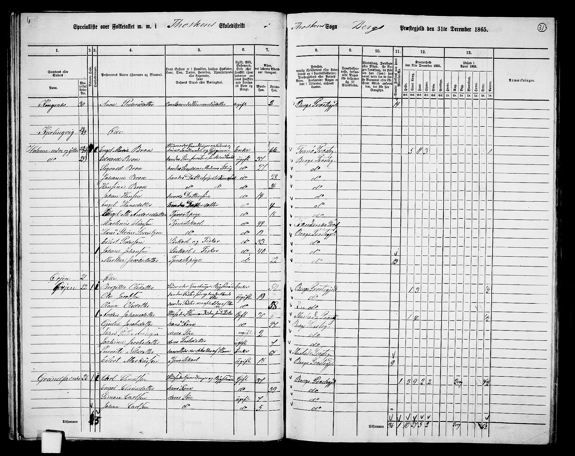 RA, 1865 census for Berg, 1865, p. 30