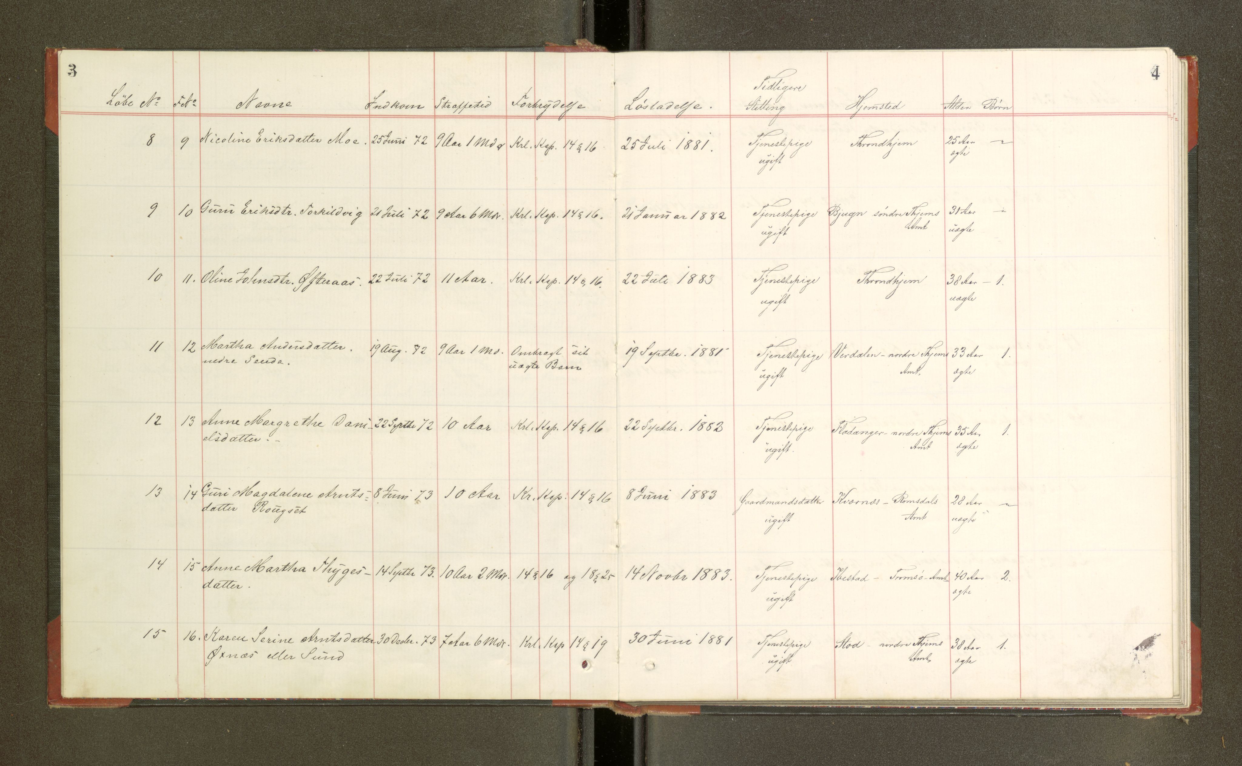 Trondheim tukthus, SAT/A-4619/05/65/L0034: 65.34 Fangeprotokoll, 1878