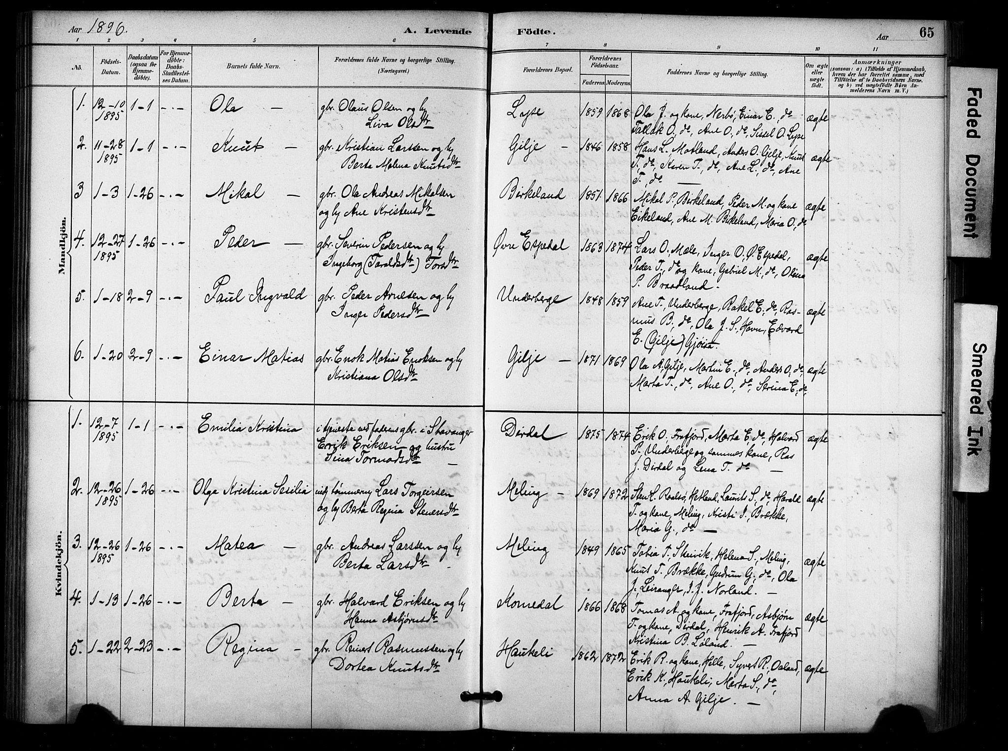 Høgsfjord sokneprestkontor, SAST/A-101624/H/Ha/Haa/L0006: Parish register (official) no. A 6, 1885-1897, p. 65