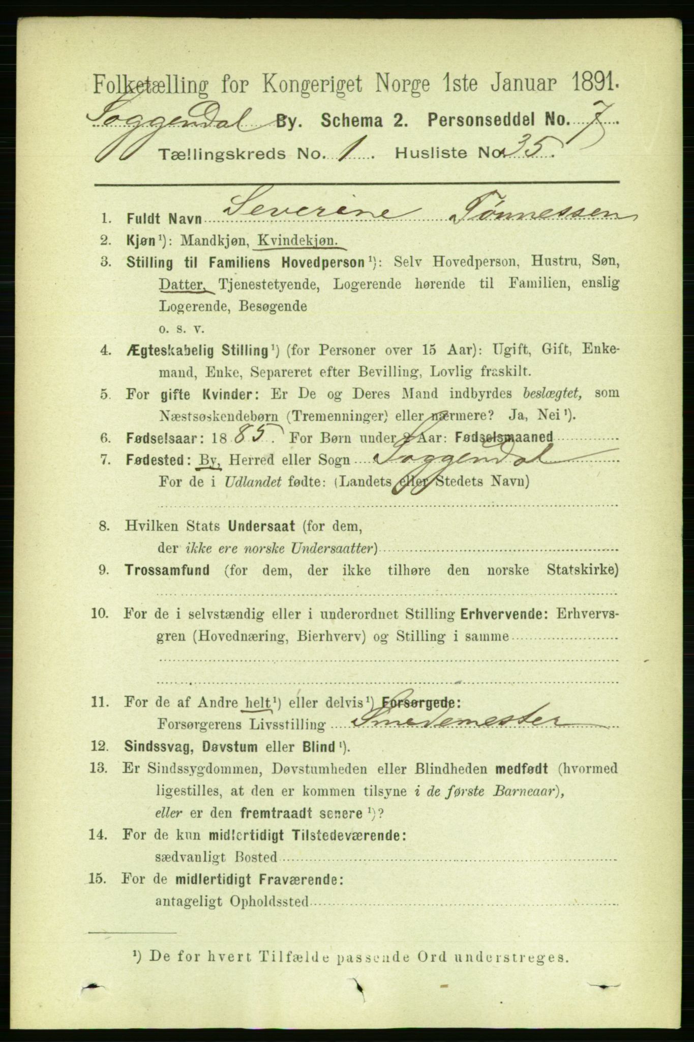 RA, 1891 census for 1107 Sokndal, 1891, p. 201