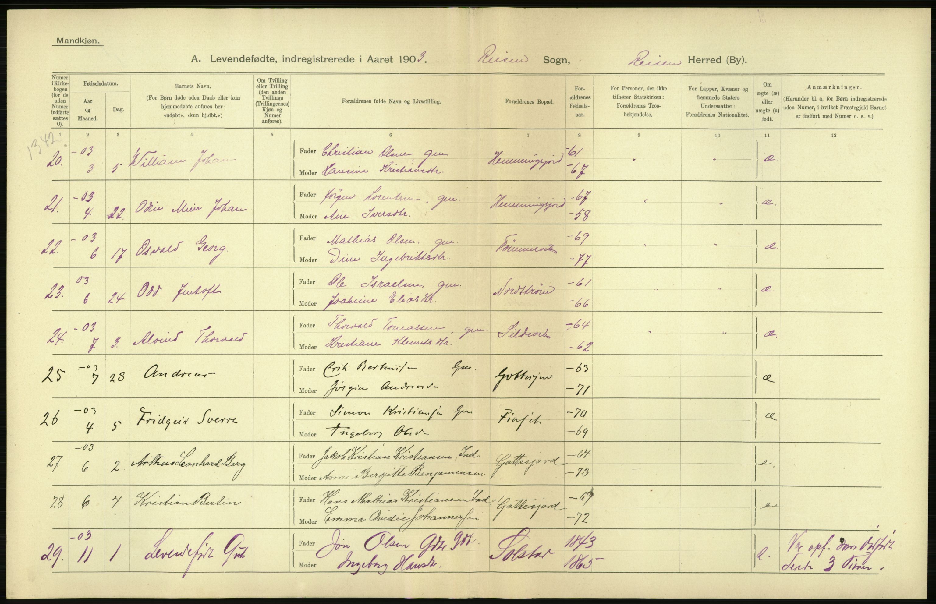 Statistisk sentralbyrå, Sosiodemografiske emner, Befolkning, AV/RA-S-2228/D/Df/Dfa/Dfaa/L0021: Tromsø amt: Fødte, gifte, døde., 1903, p. 6