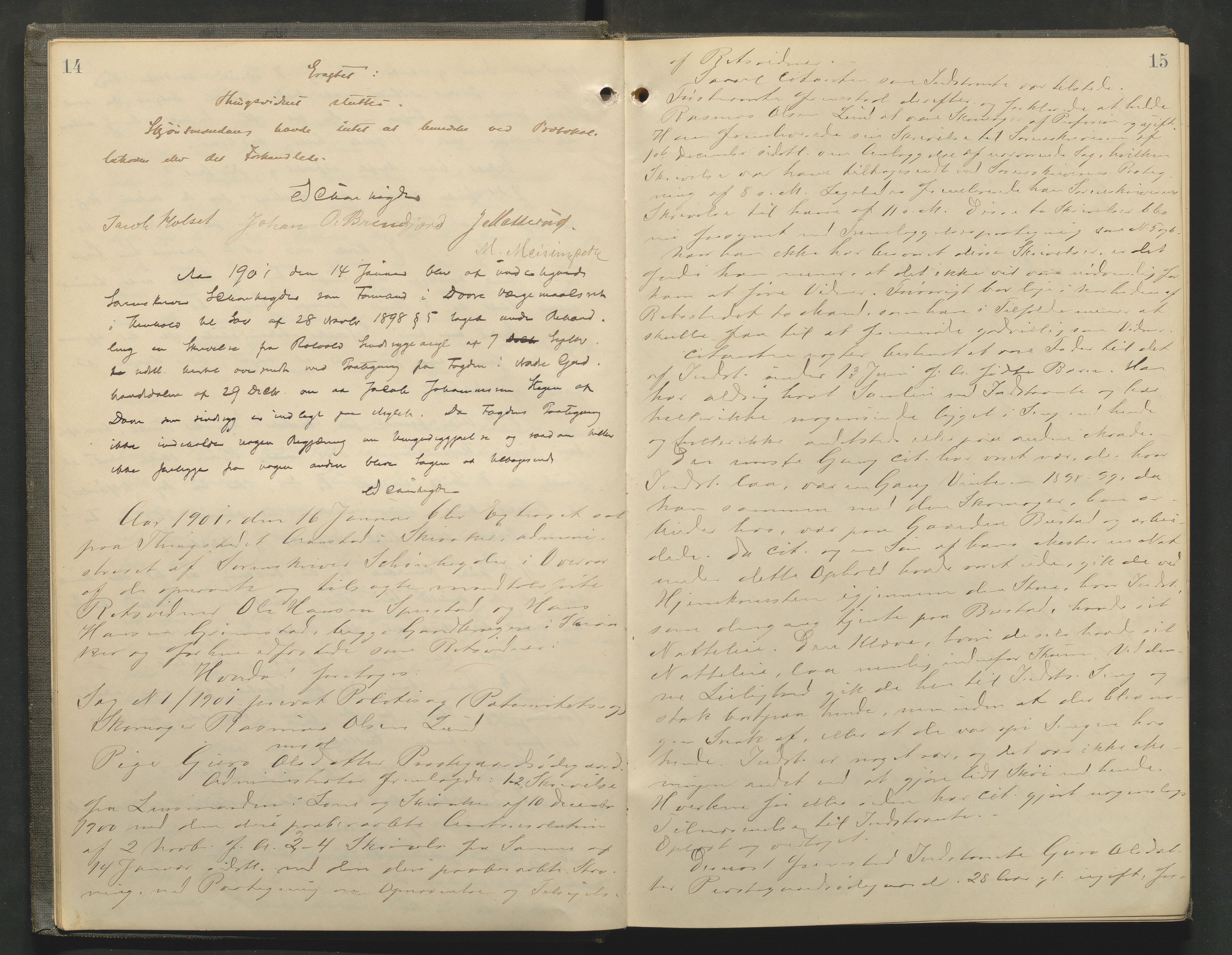 Nord-Gudbrandsdal tingrett, AV/SAH-TING-002/G/Gc/Gcb/L0006: Ekstrarettsprotokoll for åstedssaker, 1900-1906, p. 14-15