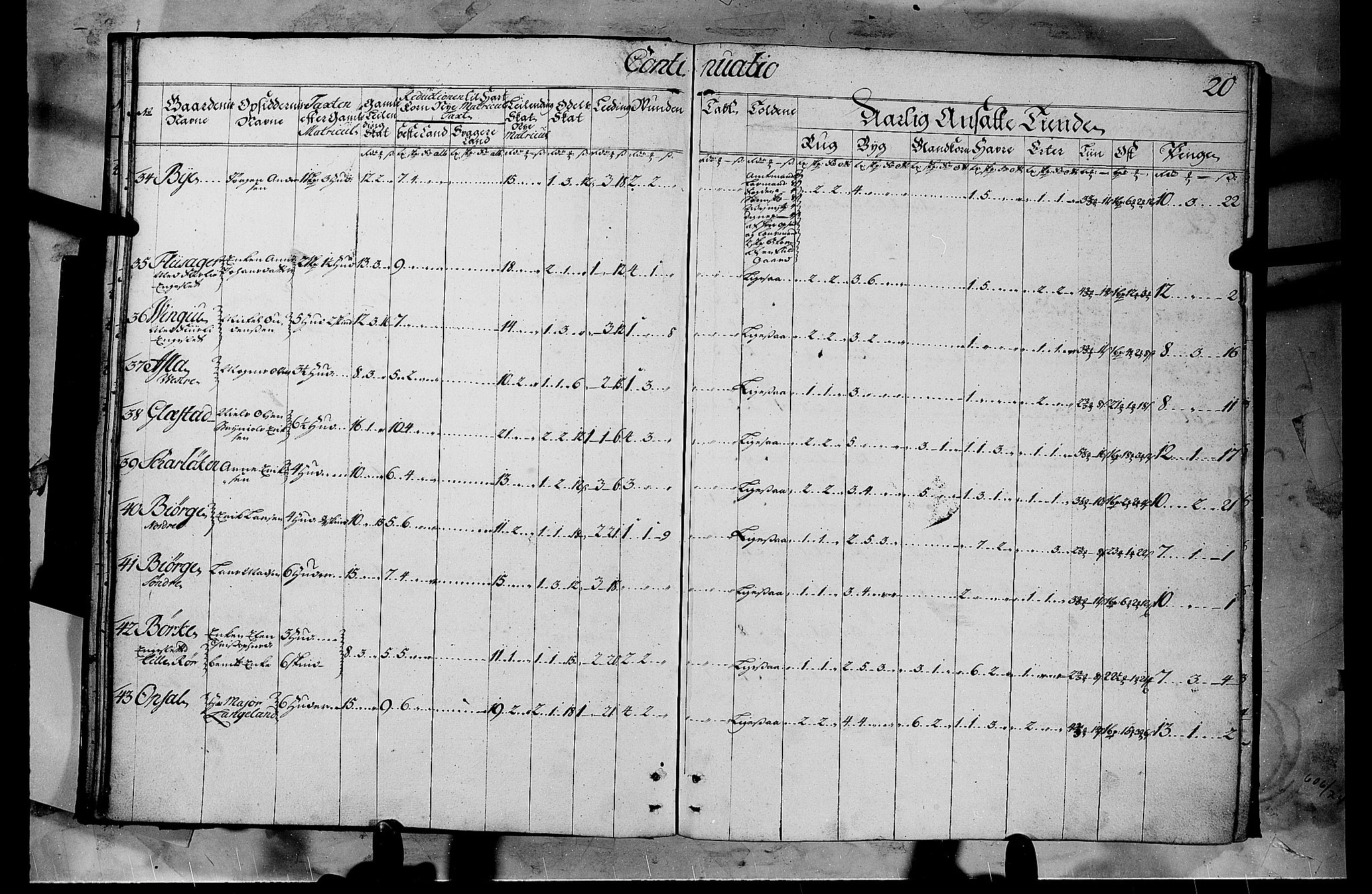 Rentekammeret inntil 1814, Realistisk ordnet avdeling, AV/RA-EA-4070/N/Nb/Nbf/L0103b: Hedmark matrikkelprotokoll, 1723, p. 19b-20a