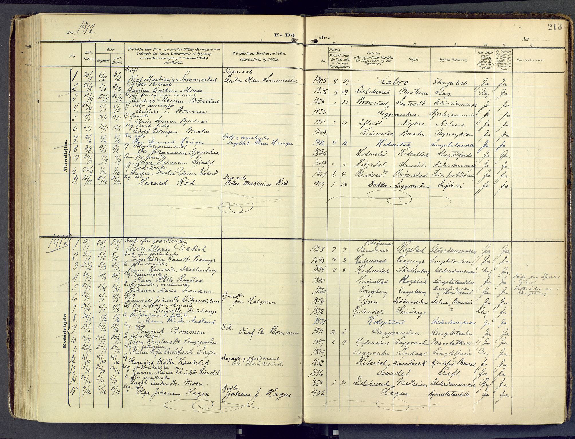 Sandsvær kirkebøker, SAKO/A-244/F/Fd/L0002: Parish register (official) no. IV 2, 1906-1943, p. 213