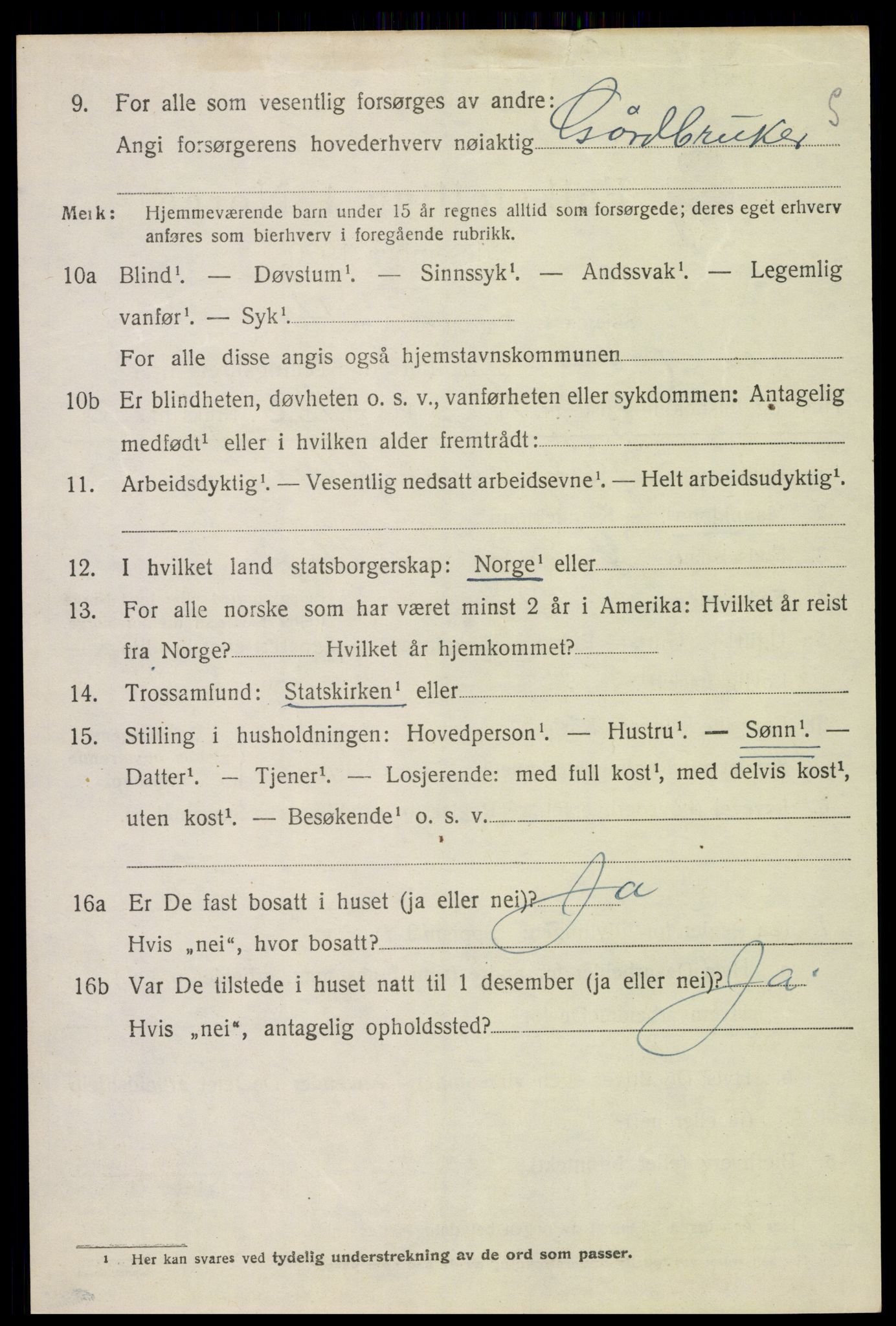 SAH, 1920 census for Nes (Hedmark), 1920, p. 6645