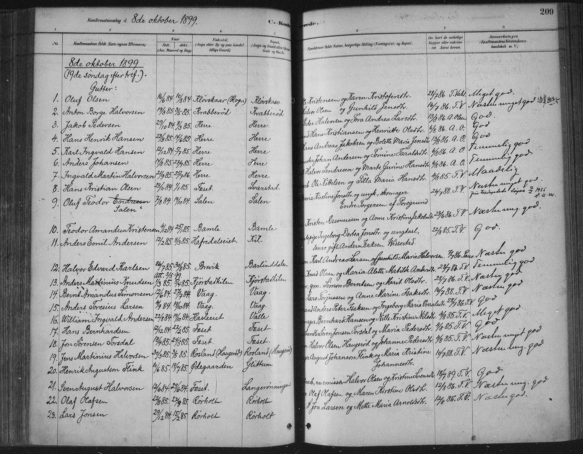 Bamble kirkebøker, SAKO/A-253/F/Fa/L0007: Parish register (official) no. I 7, 1878-1888, p. 209