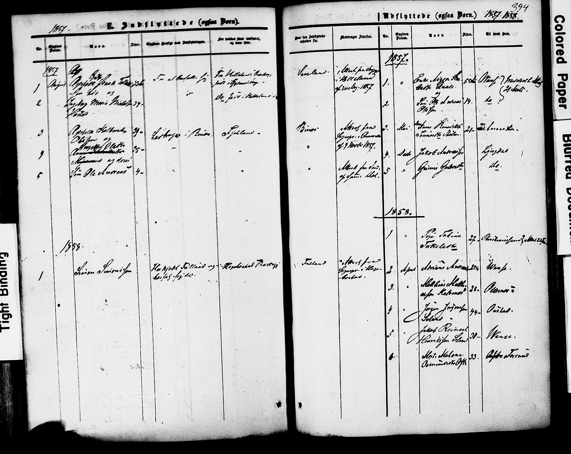 Herad sokneprestkontor, AV/SAK-1111-0018/F/Fa/Faa/L0005: Parish register (official) no. A 5, 1853-1886, p. 394